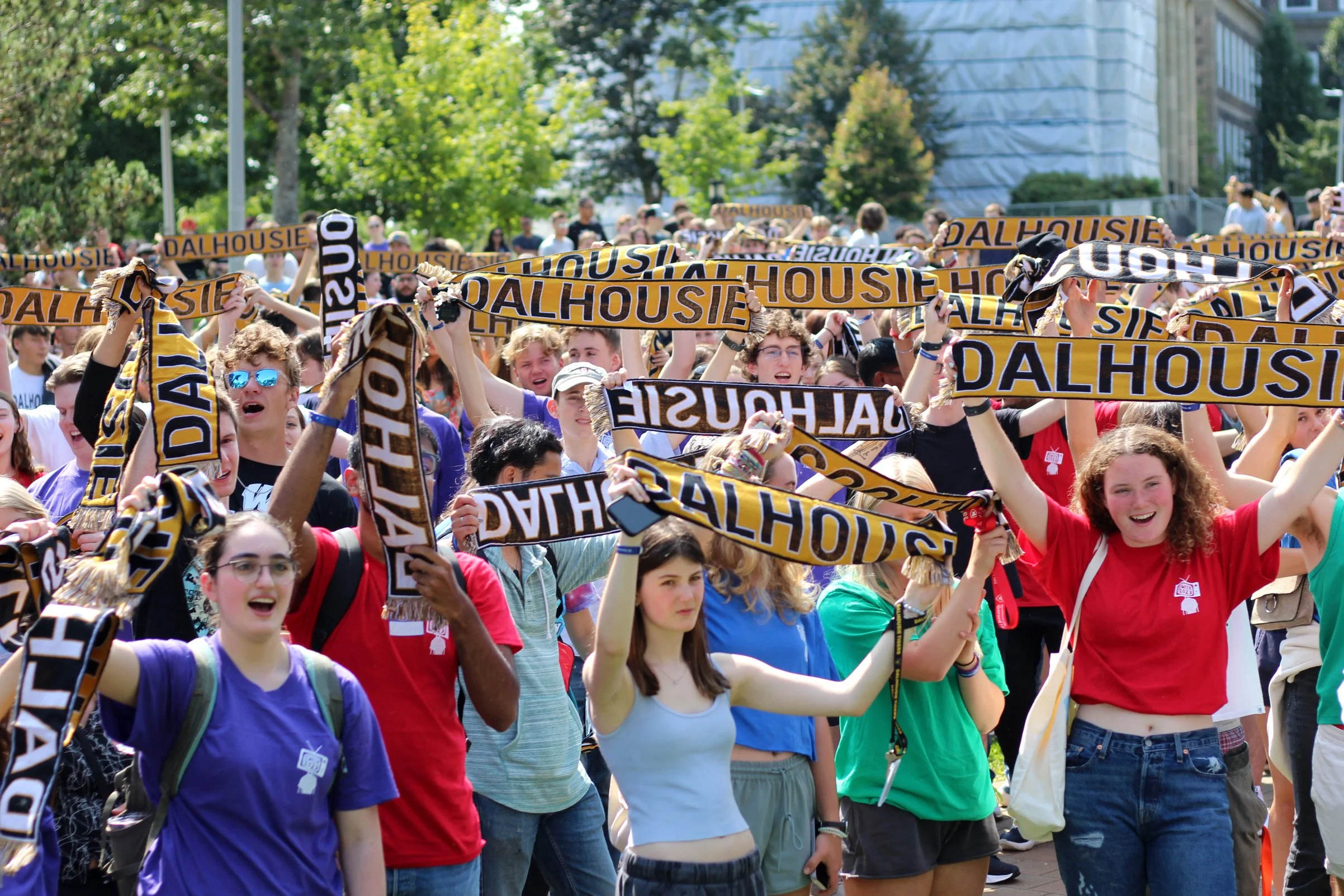 Tiger Welcome Day