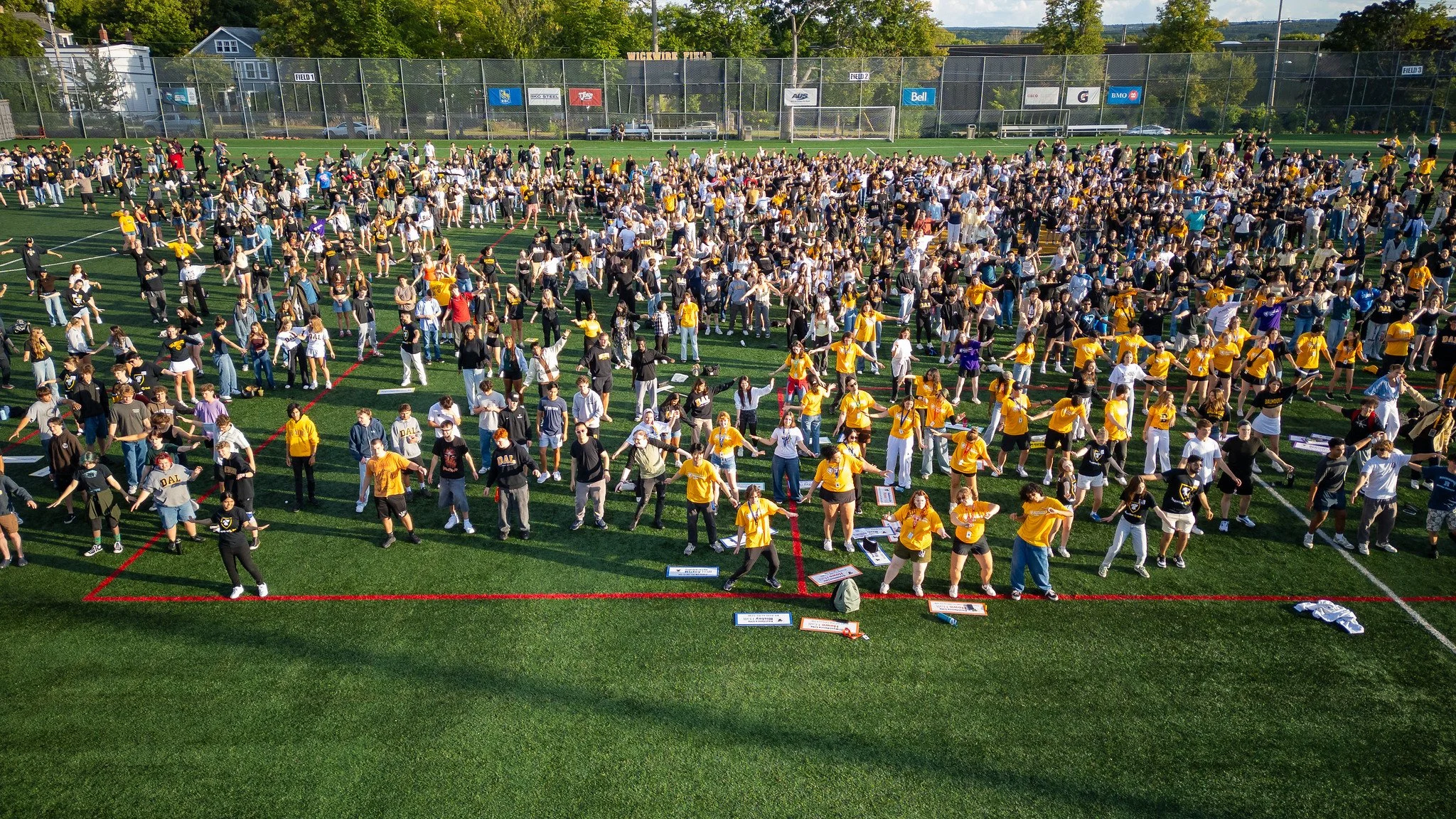 Tiger Welcome Day