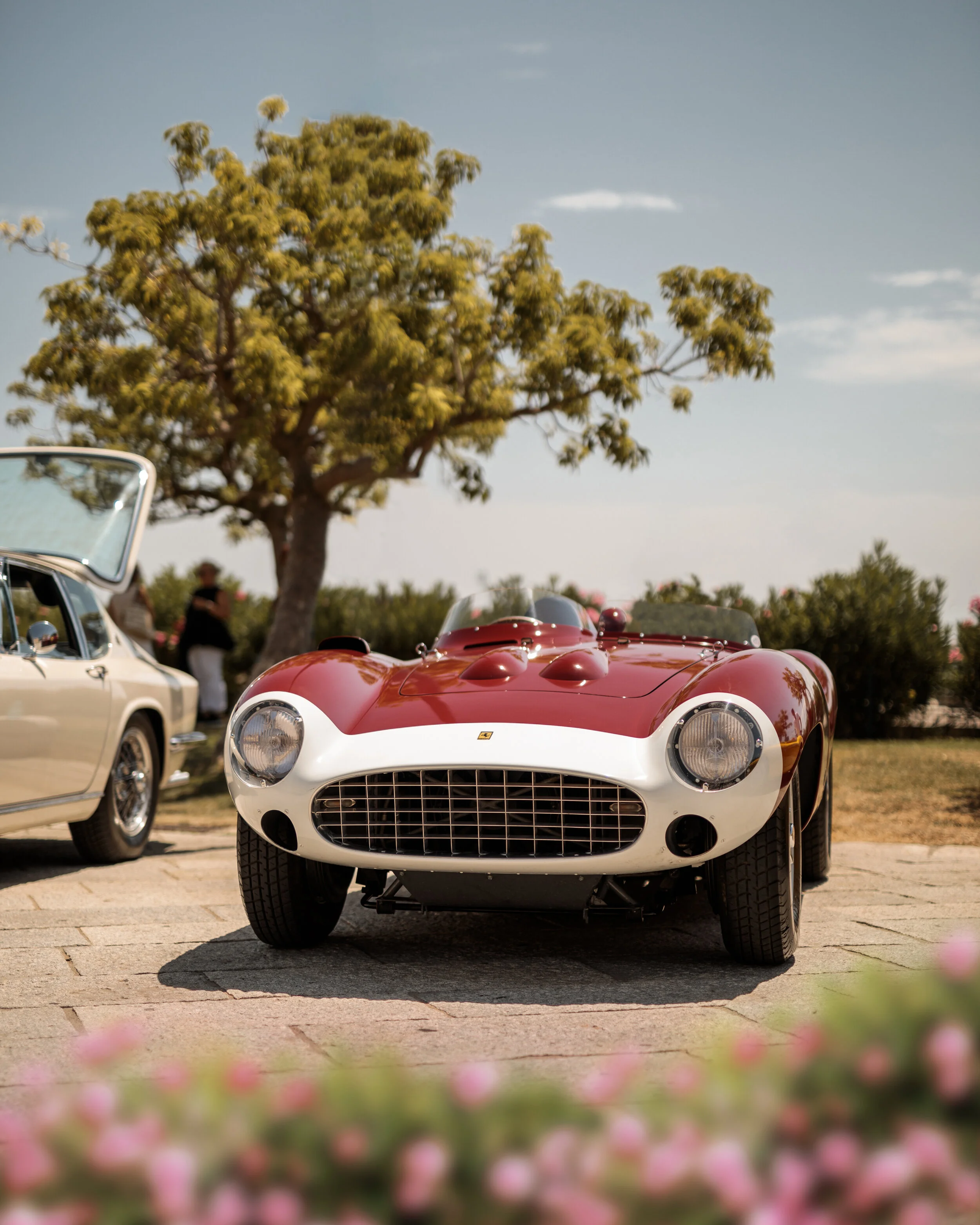 Ferrari857S-FedericoVecchio.jpg