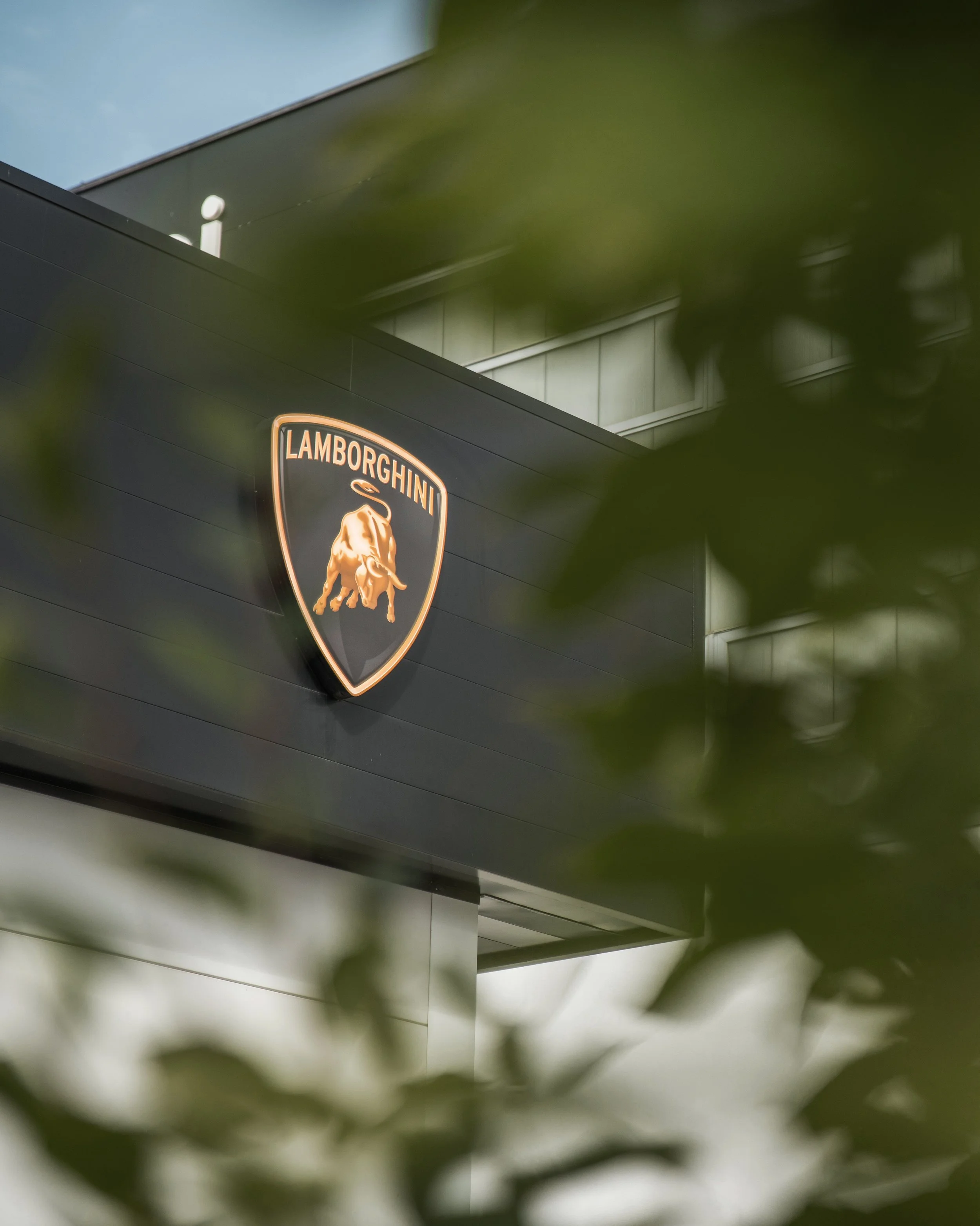 LAMBORGHINI.jpg