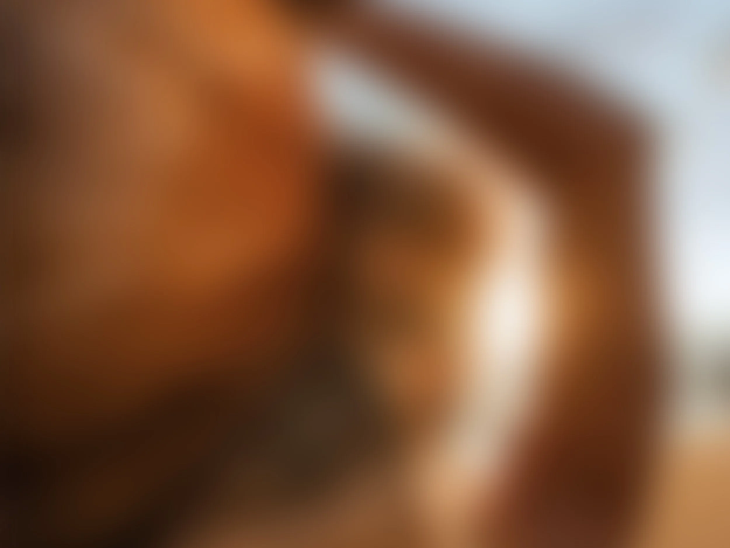 Blurry image with warm colors and indistinct shapes.