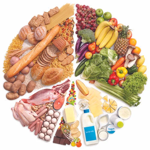 nutrition.jpg