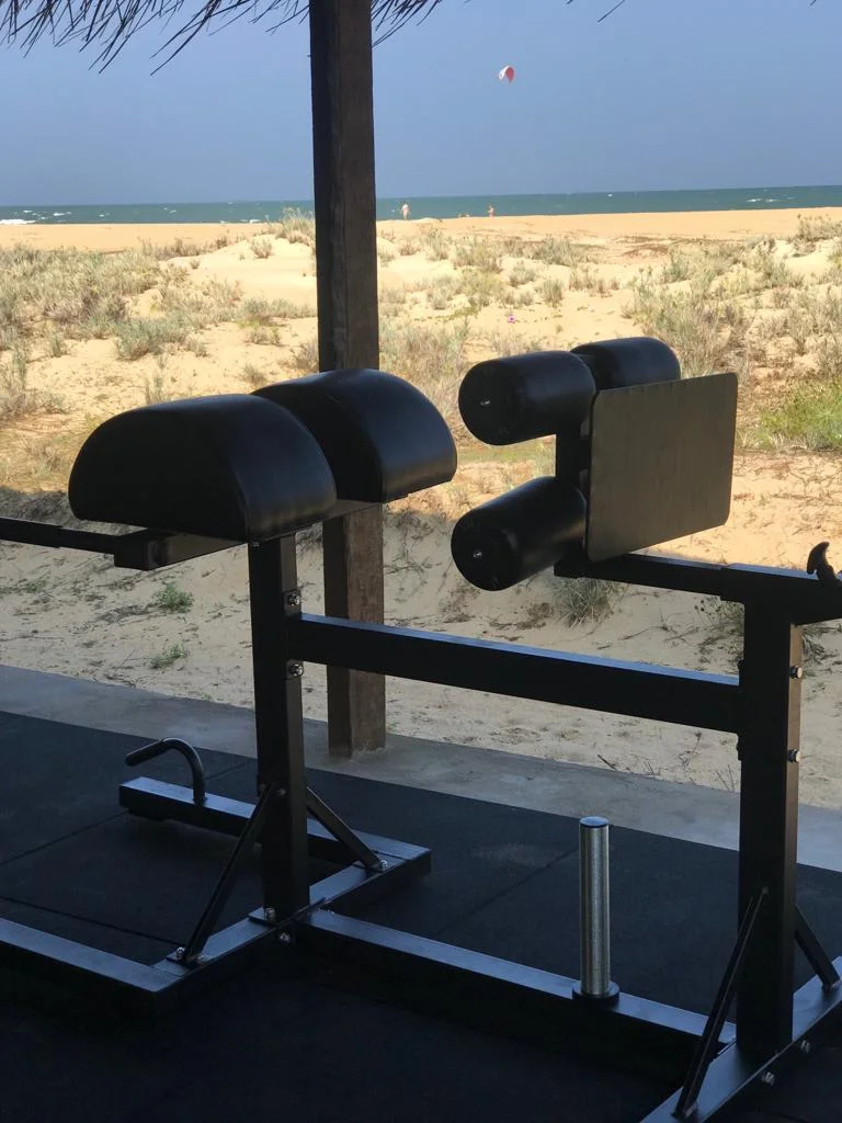 GHD (Glute Ham Developer)