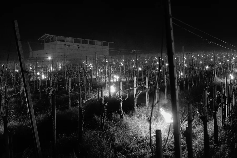 In der Herrschaft des Frosts