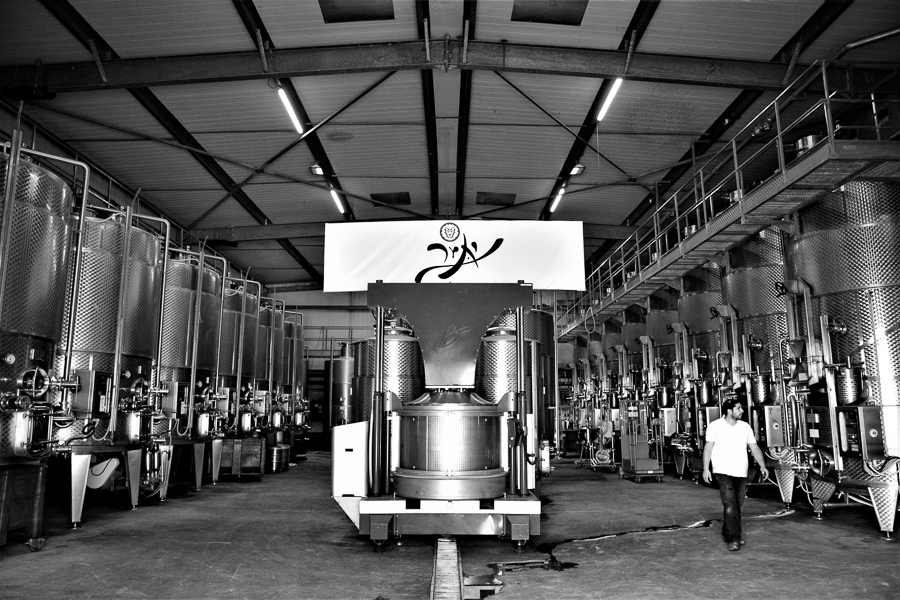  Yatir Winery, Tel Arad, Israel 