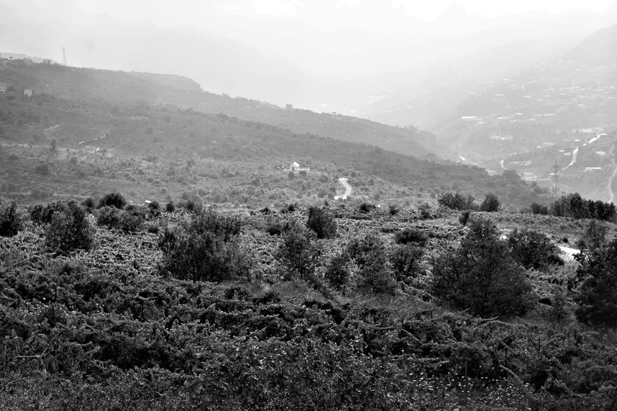  Château Belle-Vue, Bhamdoun, Libanon 