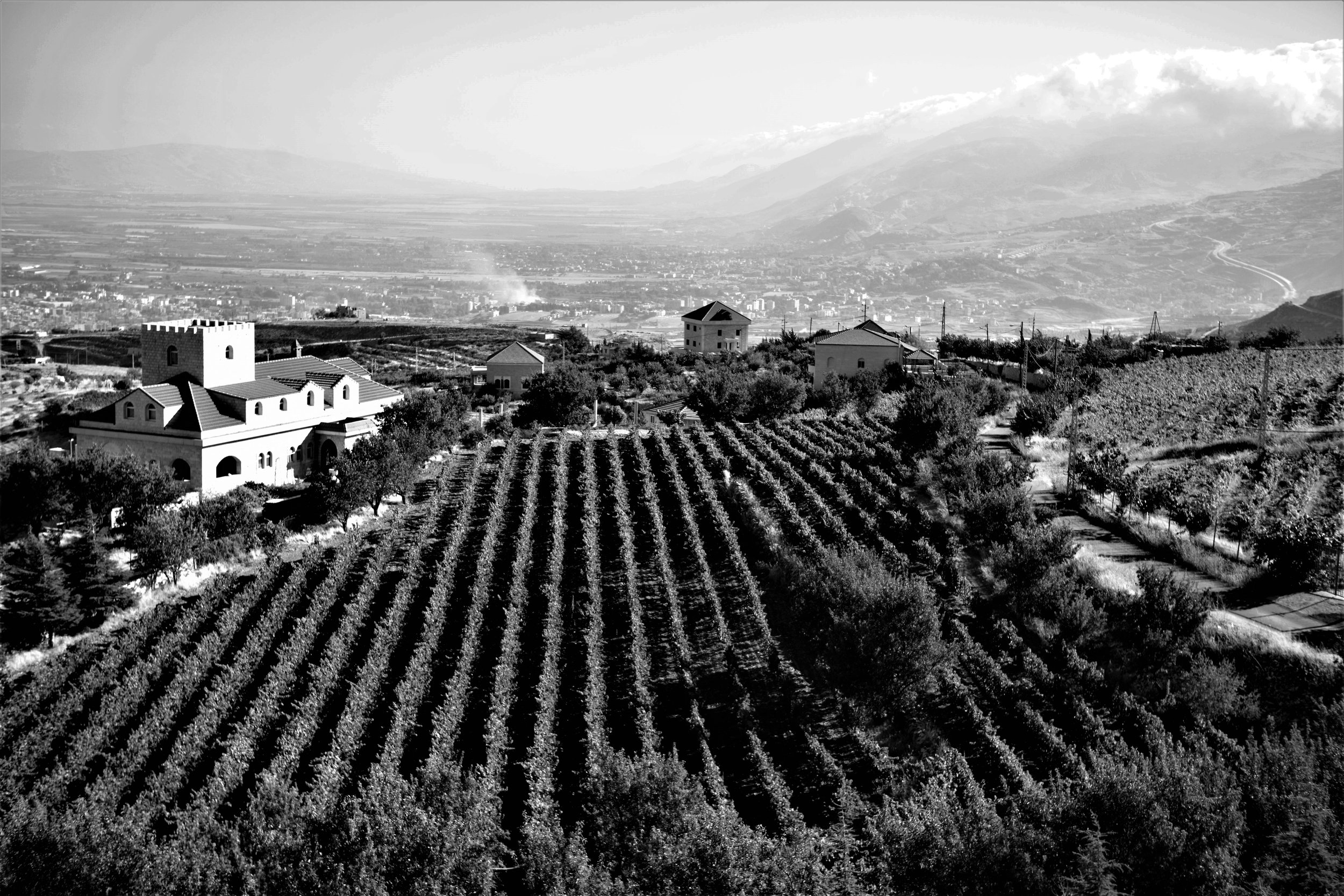 Blick von der Terrasse des Château Khoury