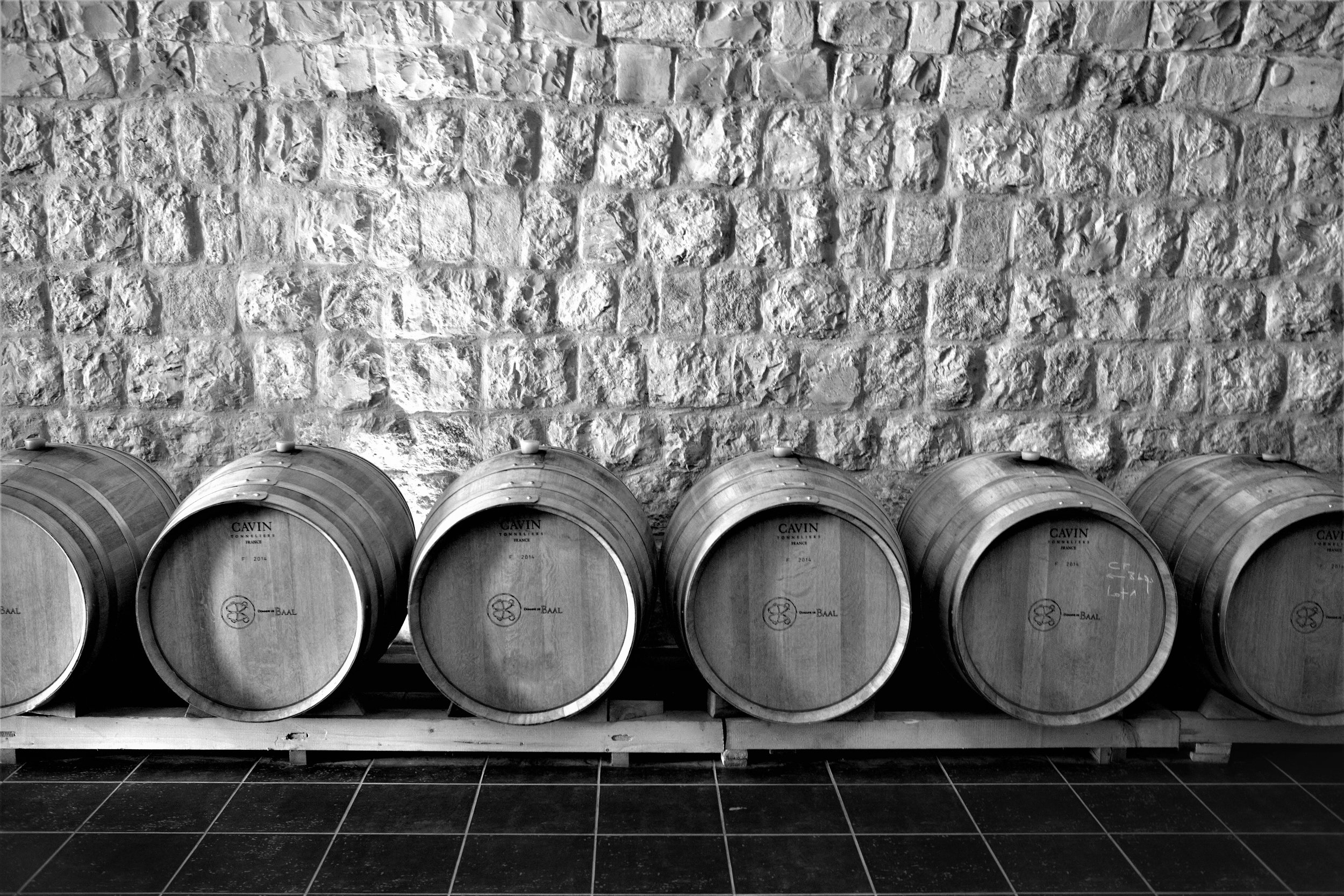 Holzfasskeller, Domaine de Baal, Libanon