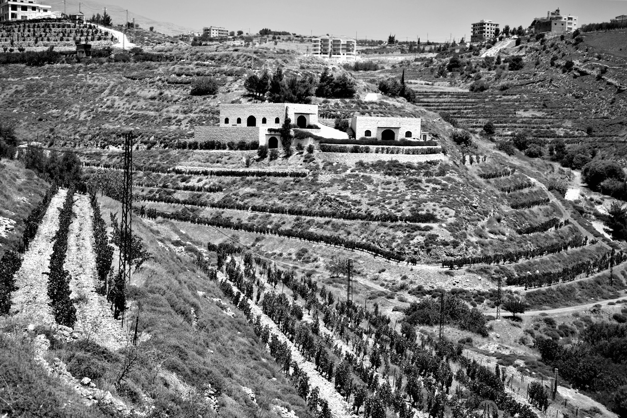 Blick auf die Domaine de Baal, Libanon