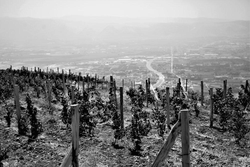  Der Blick hinunter ins Bekaa Valley mit dem Damaskus Highway, welche nur noch 35 Kilometer entfernt liegt. 