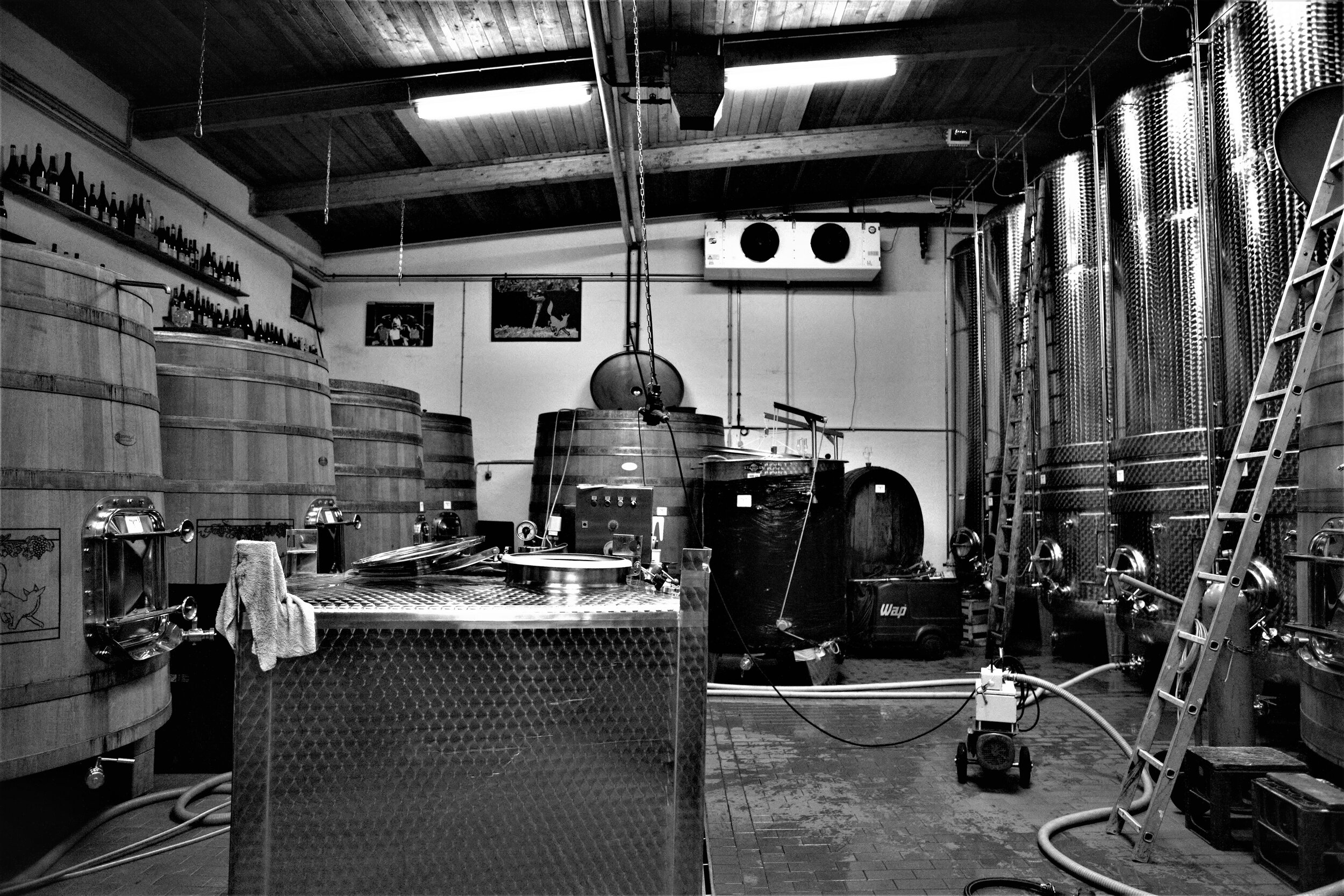  Der Keller des Weinguts ist zweckmässig eingerichtet. Viel Technik findet man hier nicht. 
