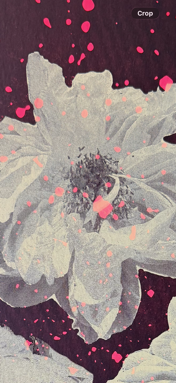 Pink Peonie Club 6.PNG