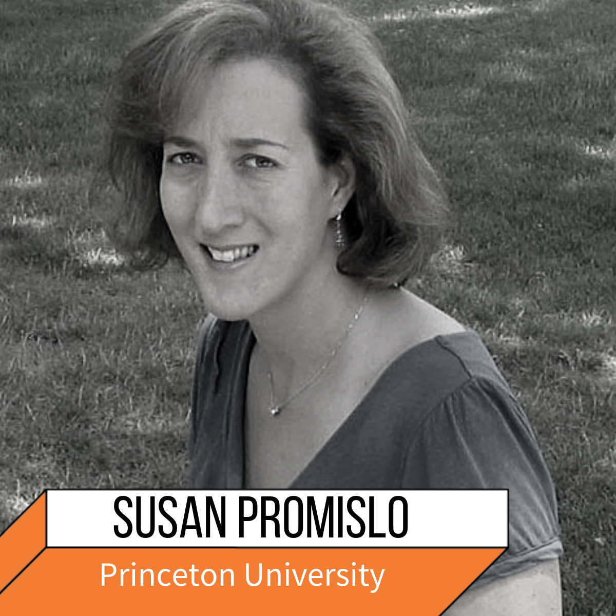 Susan Promislo Org.png