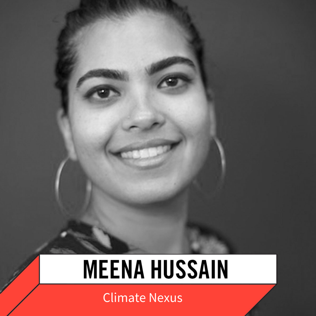 Meena Hussain Updated.png