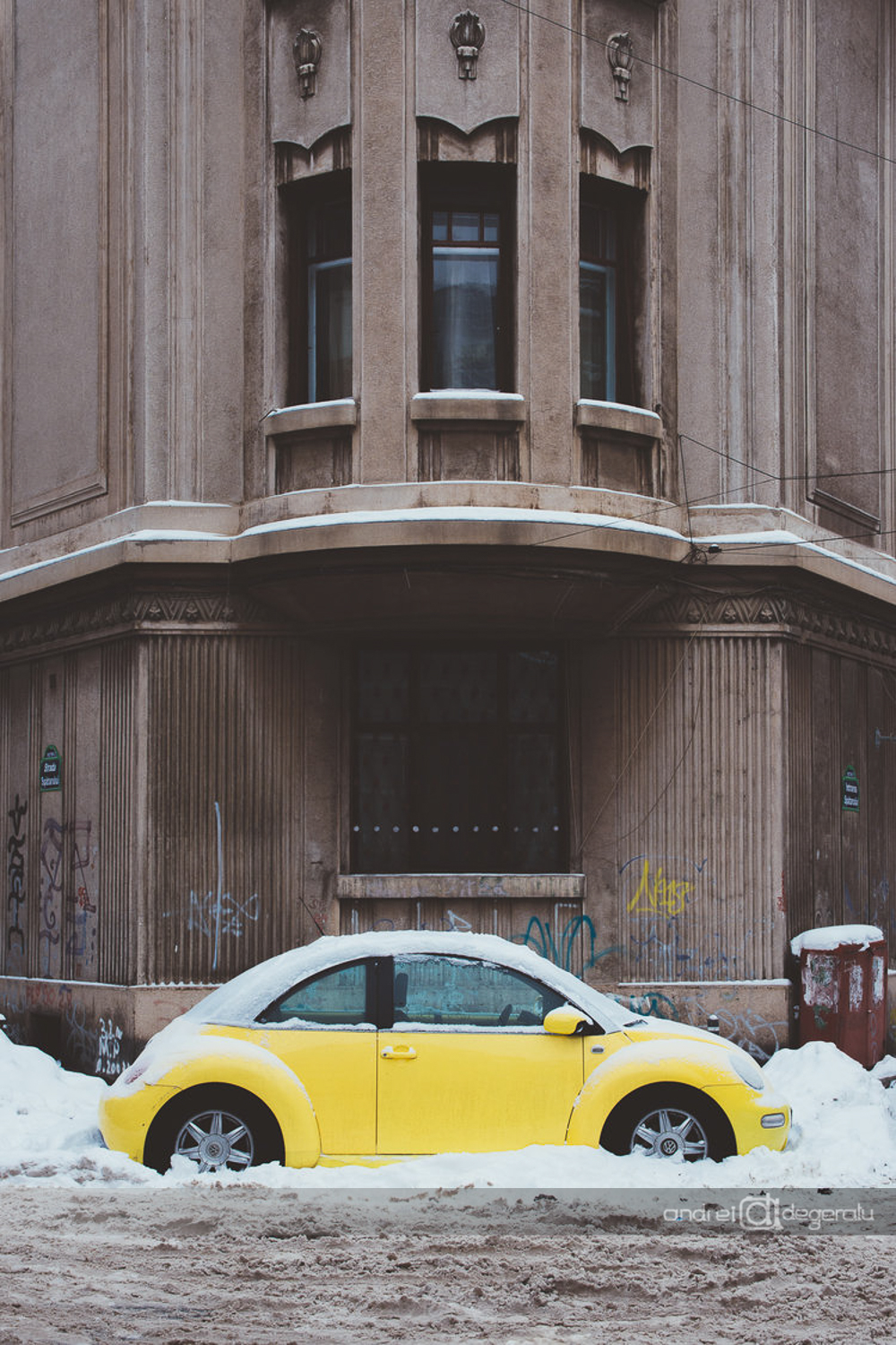 Ladybug Hibernating