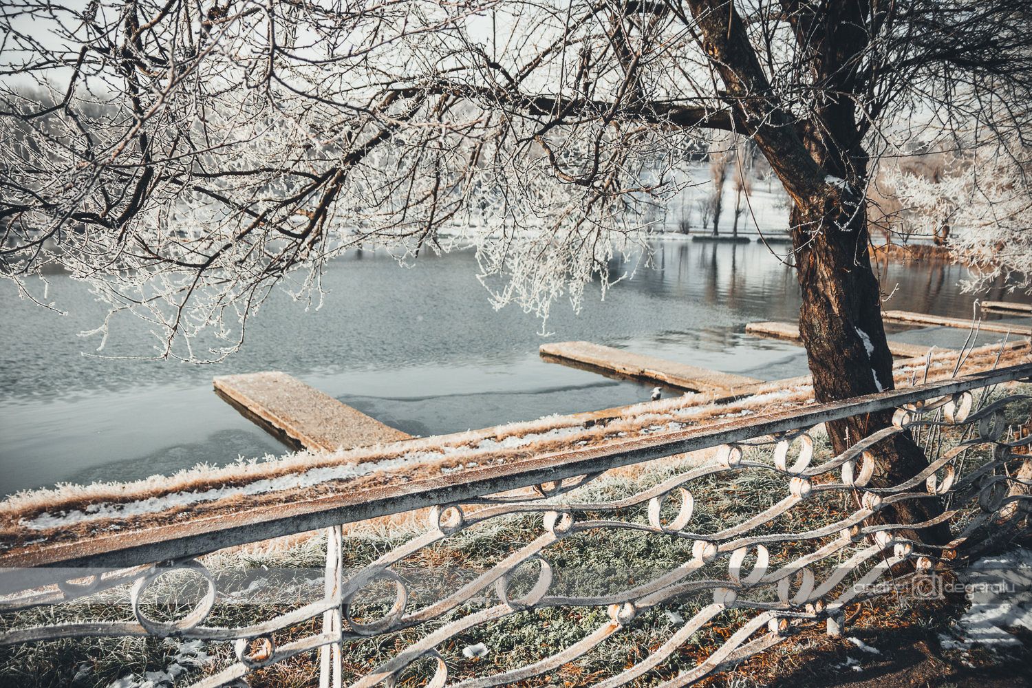 Frozen