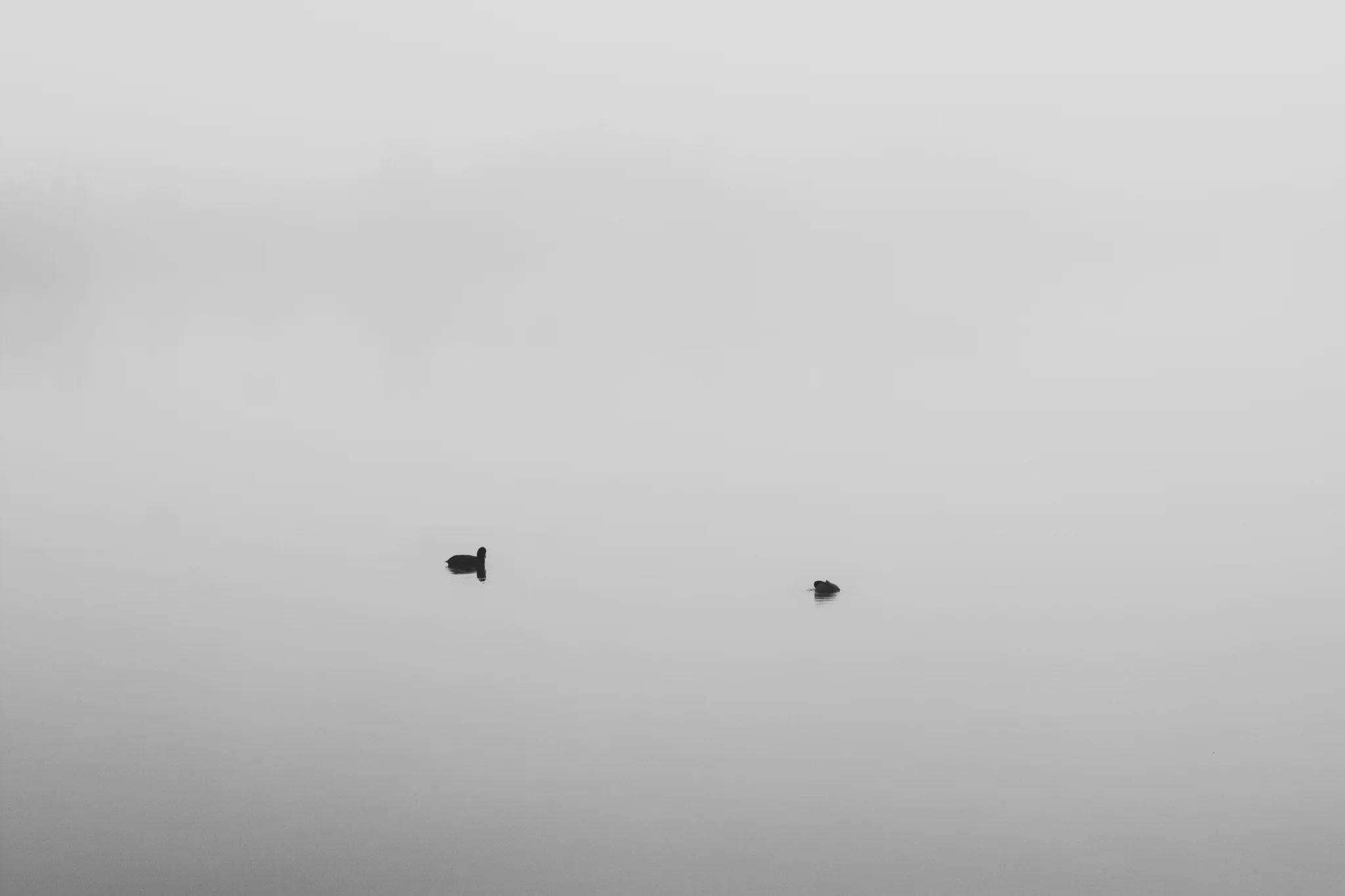 DGV_4386_o.jpg