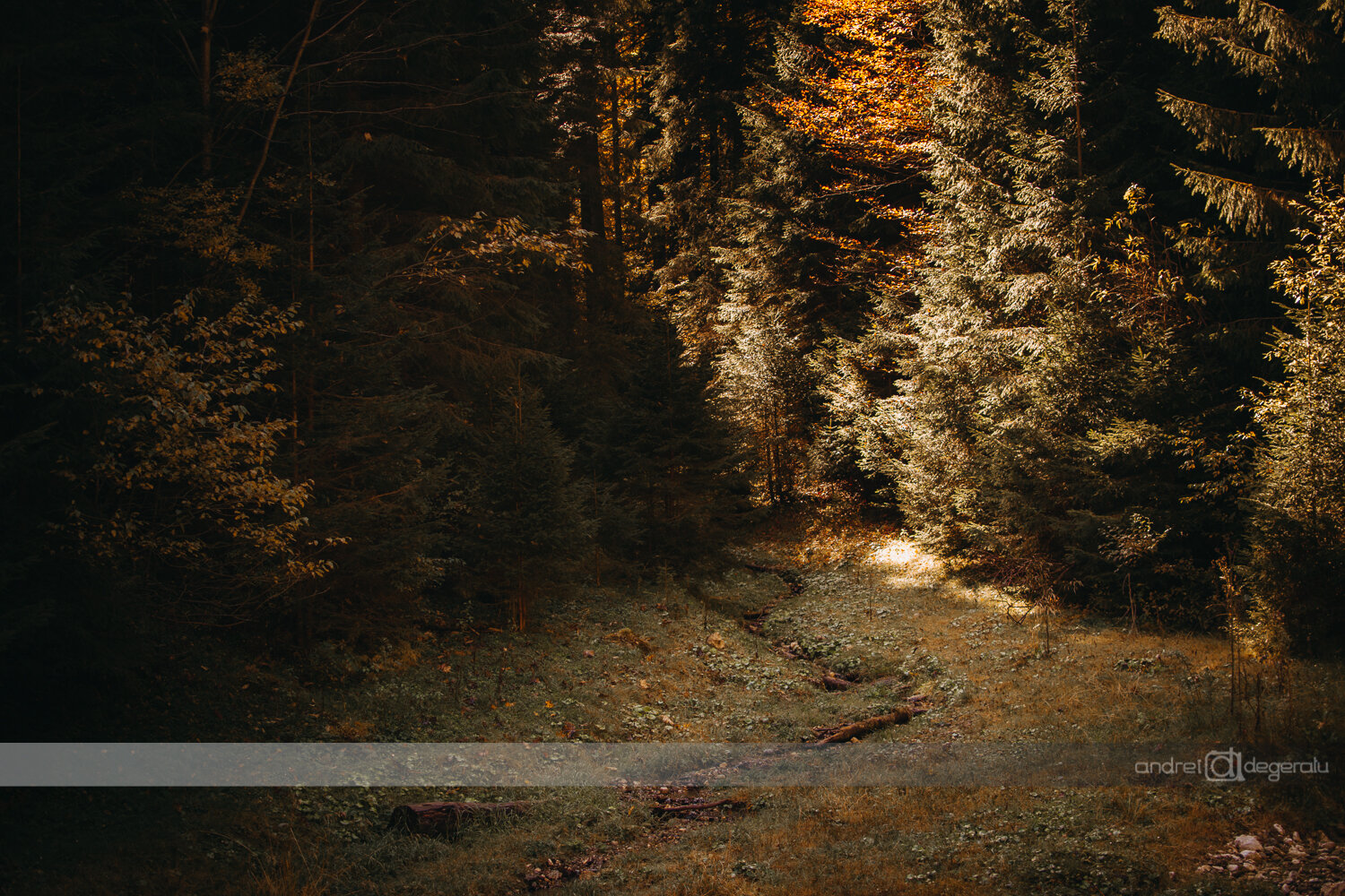 Path to Terabithia