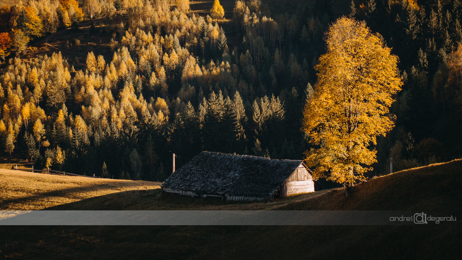 Autumn Warmth