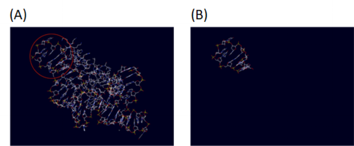 Figure 4 Tetra loop (PDB:1F7Y) before (A) and after (B) extraction from larger structure. The red circle shows tetra loop within the larger structure.