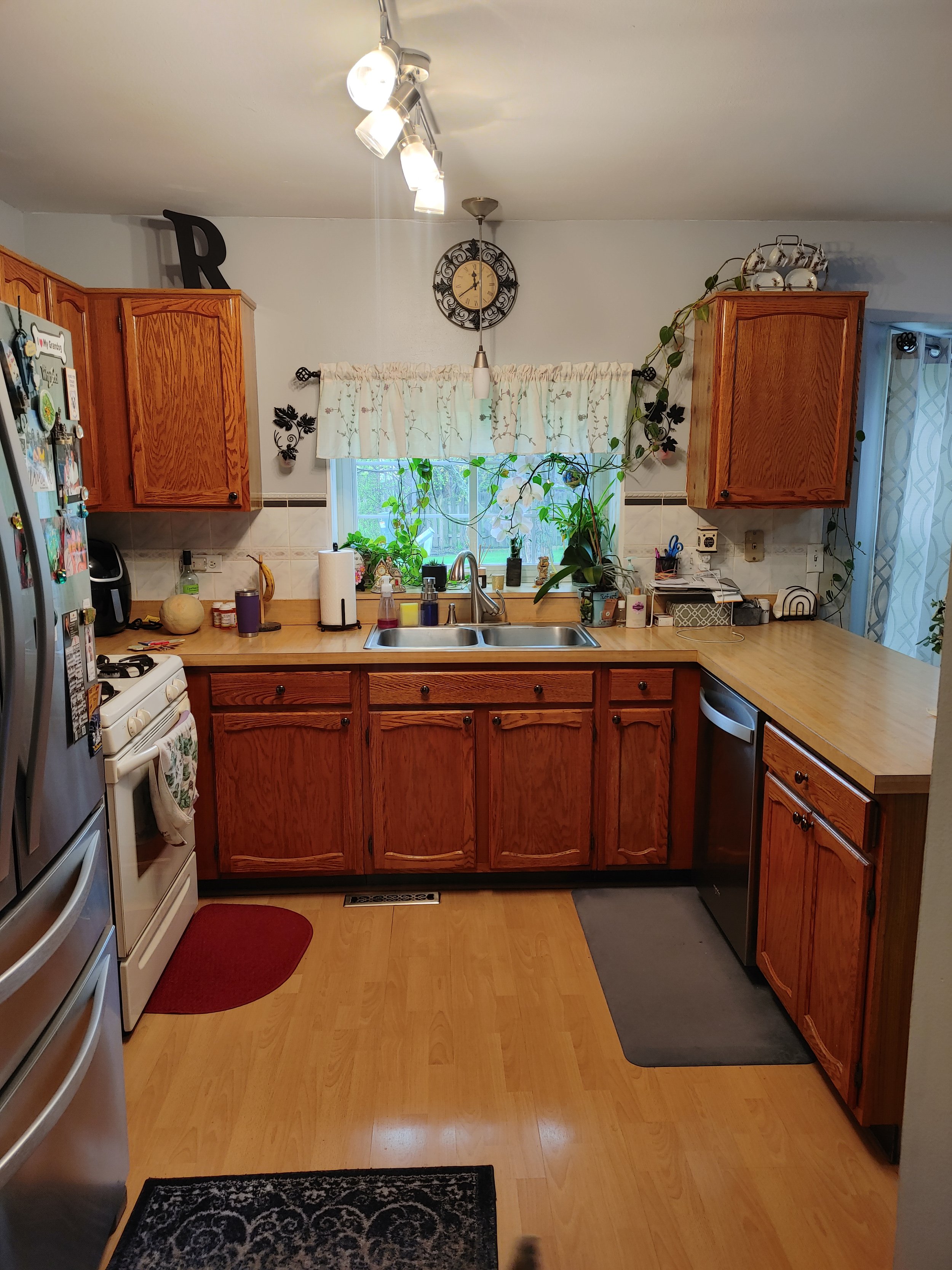 Before Kitchen Cabinet Remodel to White Ash Shaker Doors