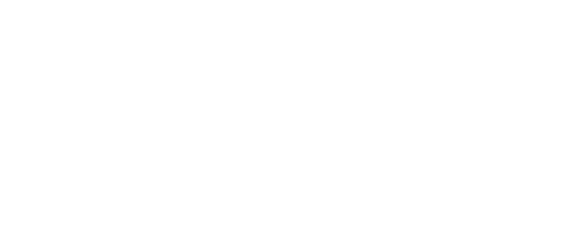 New York's Public Broadcasters