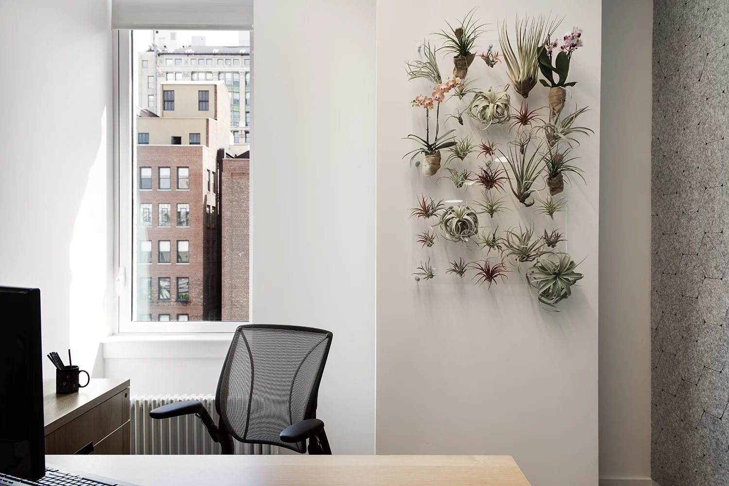 2 605 Office_0498.jpg
