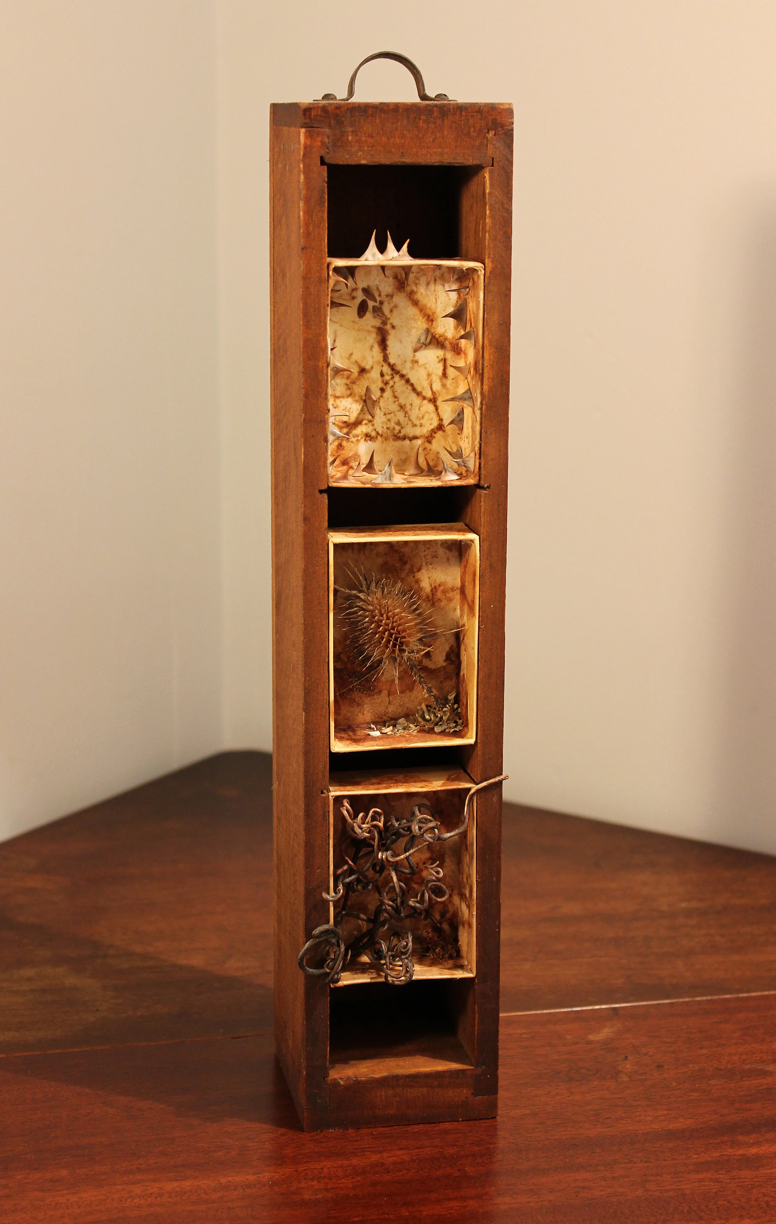Sorrow: Vintage wooden drawer, cardboard boxes, used teabags, thorns, thistle, sticks. ( 3" x 15")