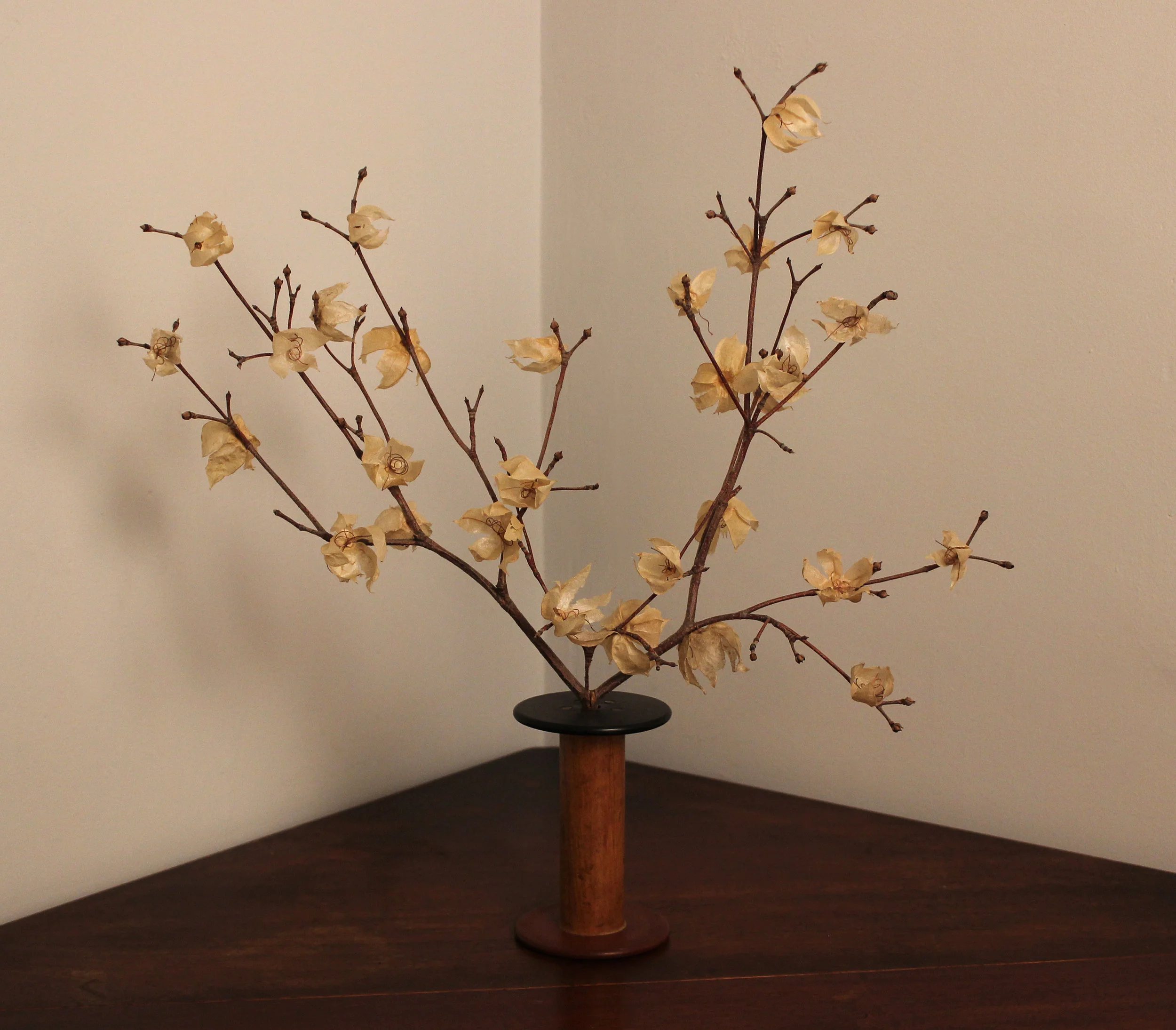 Husk Cherry Tree: Vintage spool, found sticks, husks from husk (or ground) cherries. (16" tall)