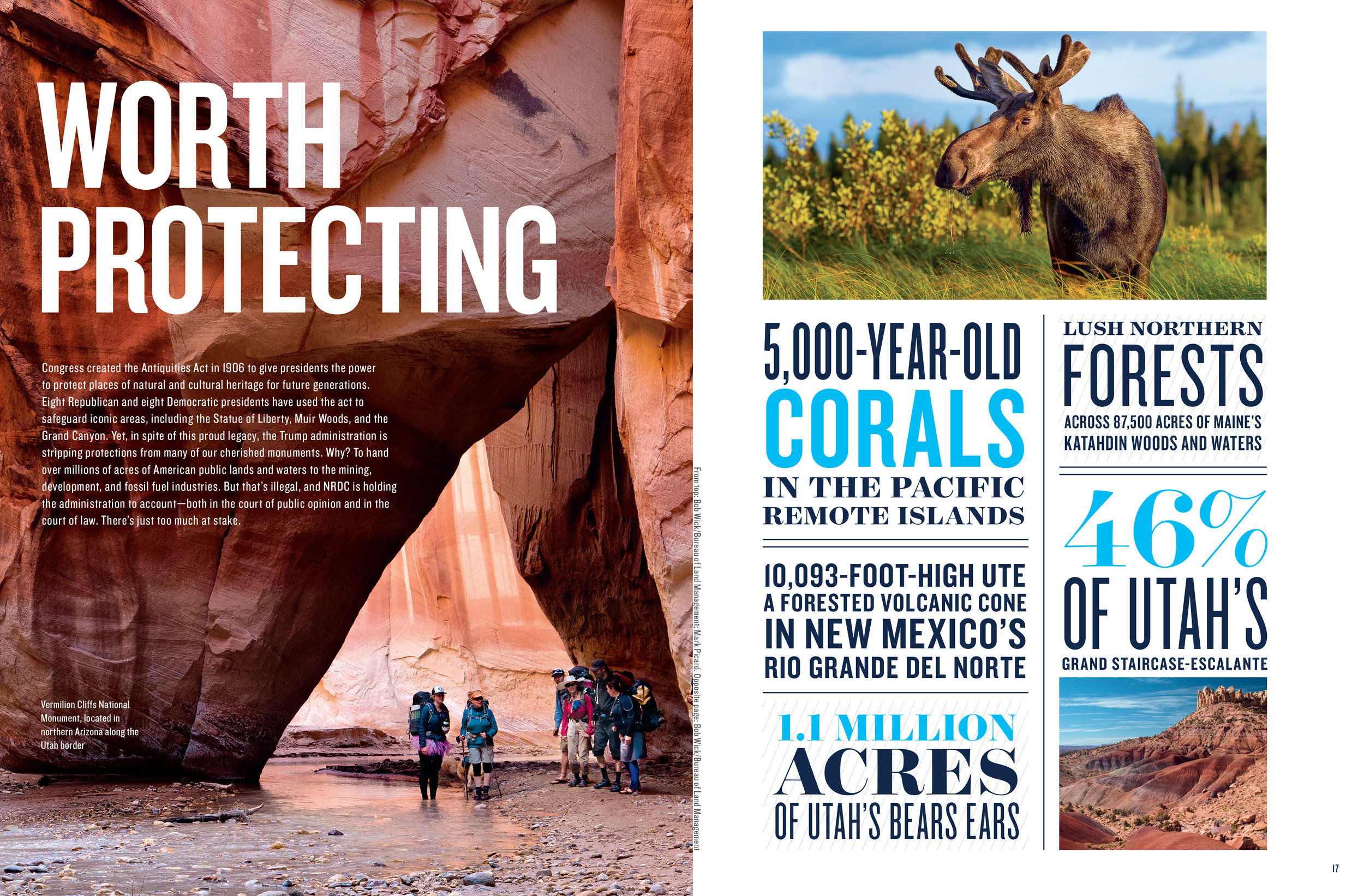 05_NRDC annual_National Parks.jpg