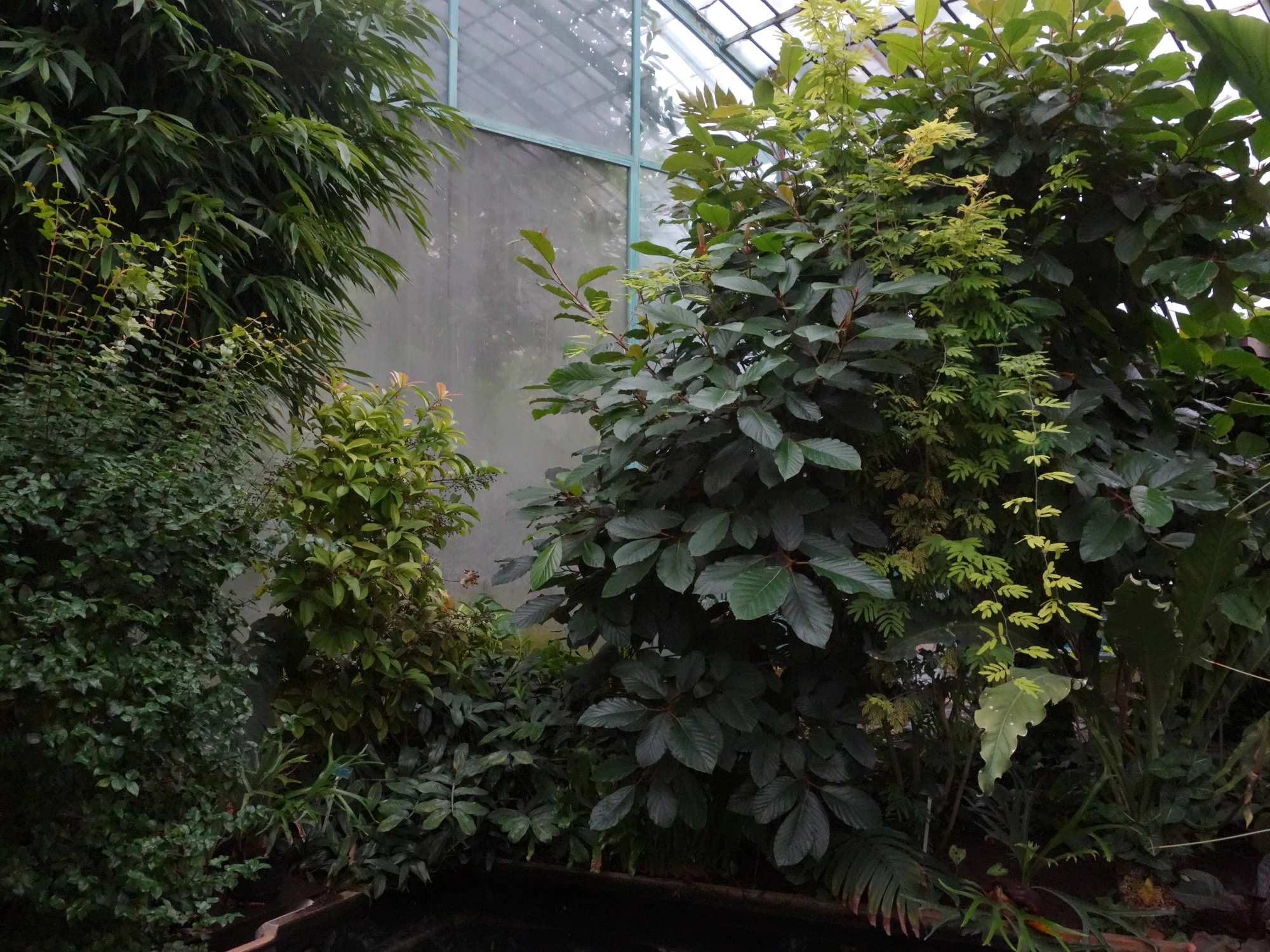 5_Le Jardin des Serres.jpg