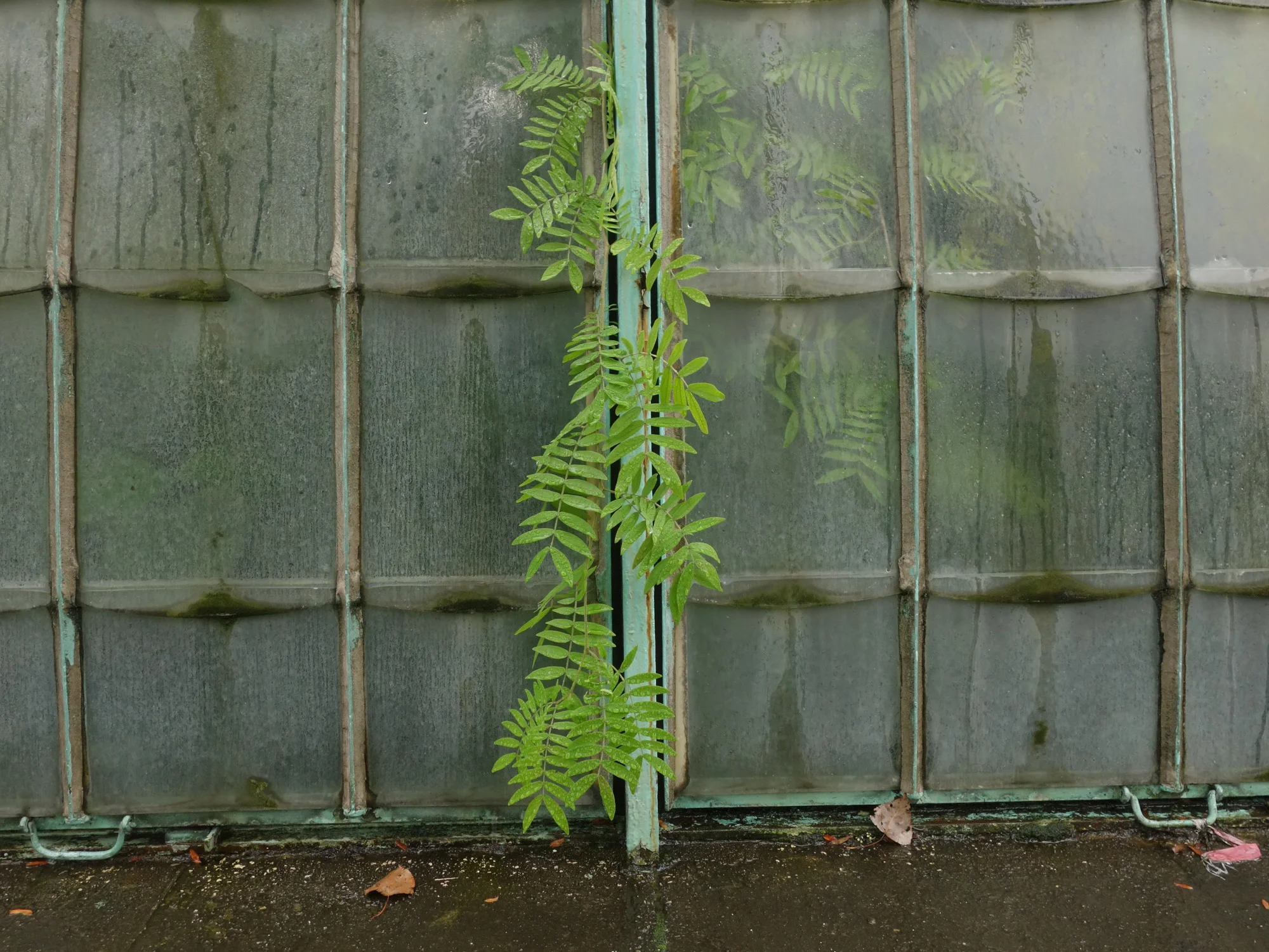 10_Le Jardin des Serres.jpg