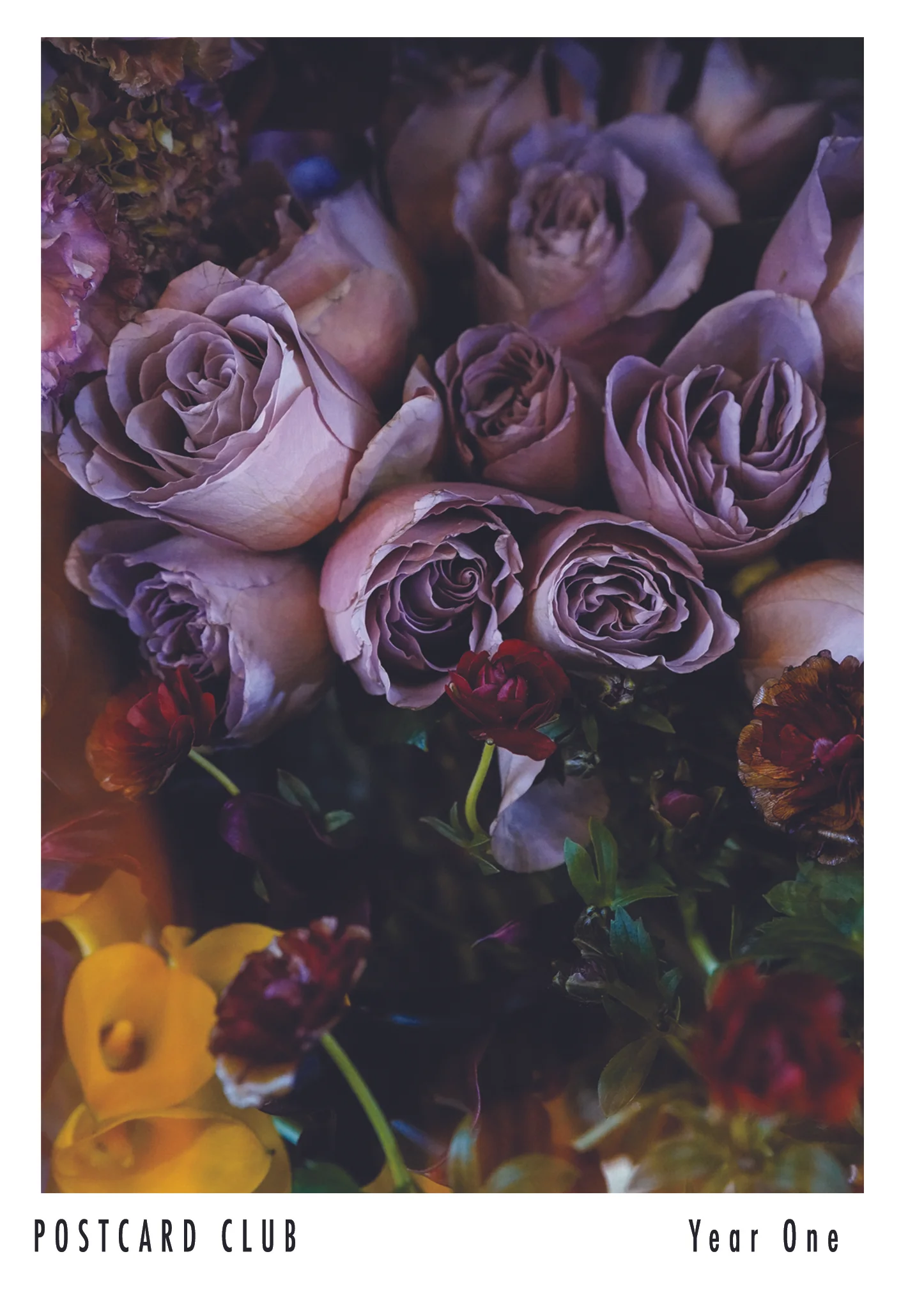 02_April_Shu Flowers .jpg
