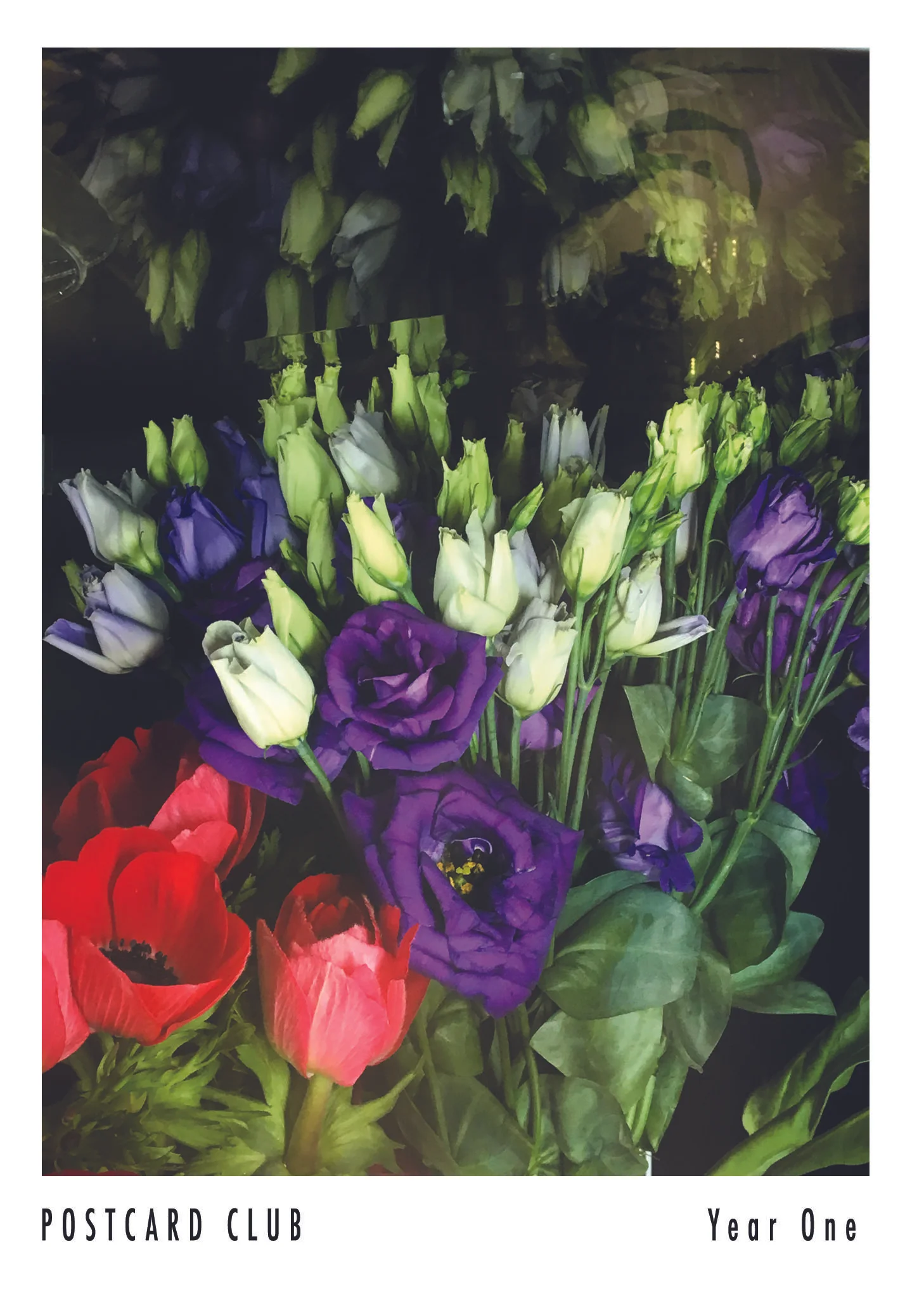 07_April_Plant Shed.jpg