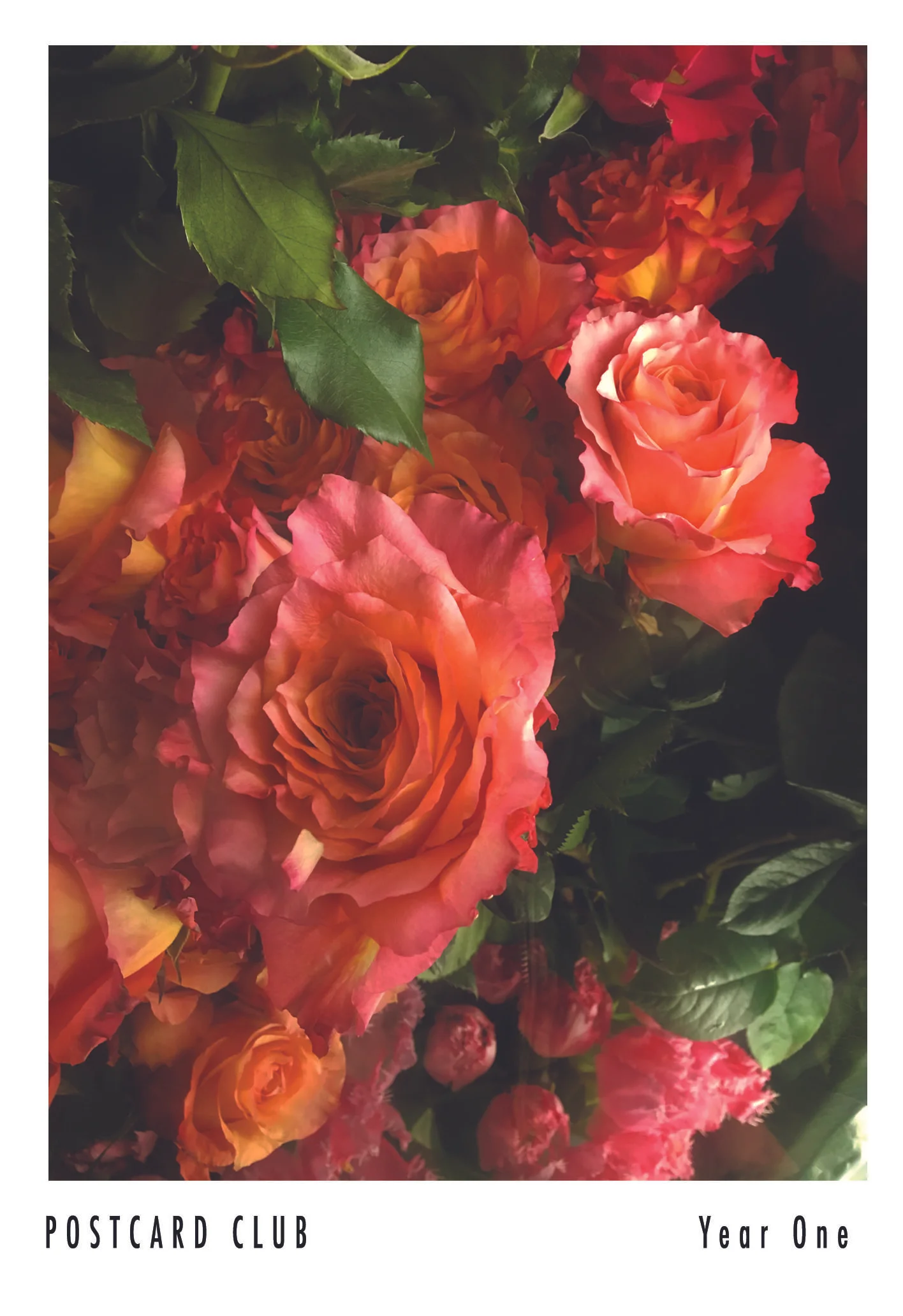 08_April_EV Florists.jpg