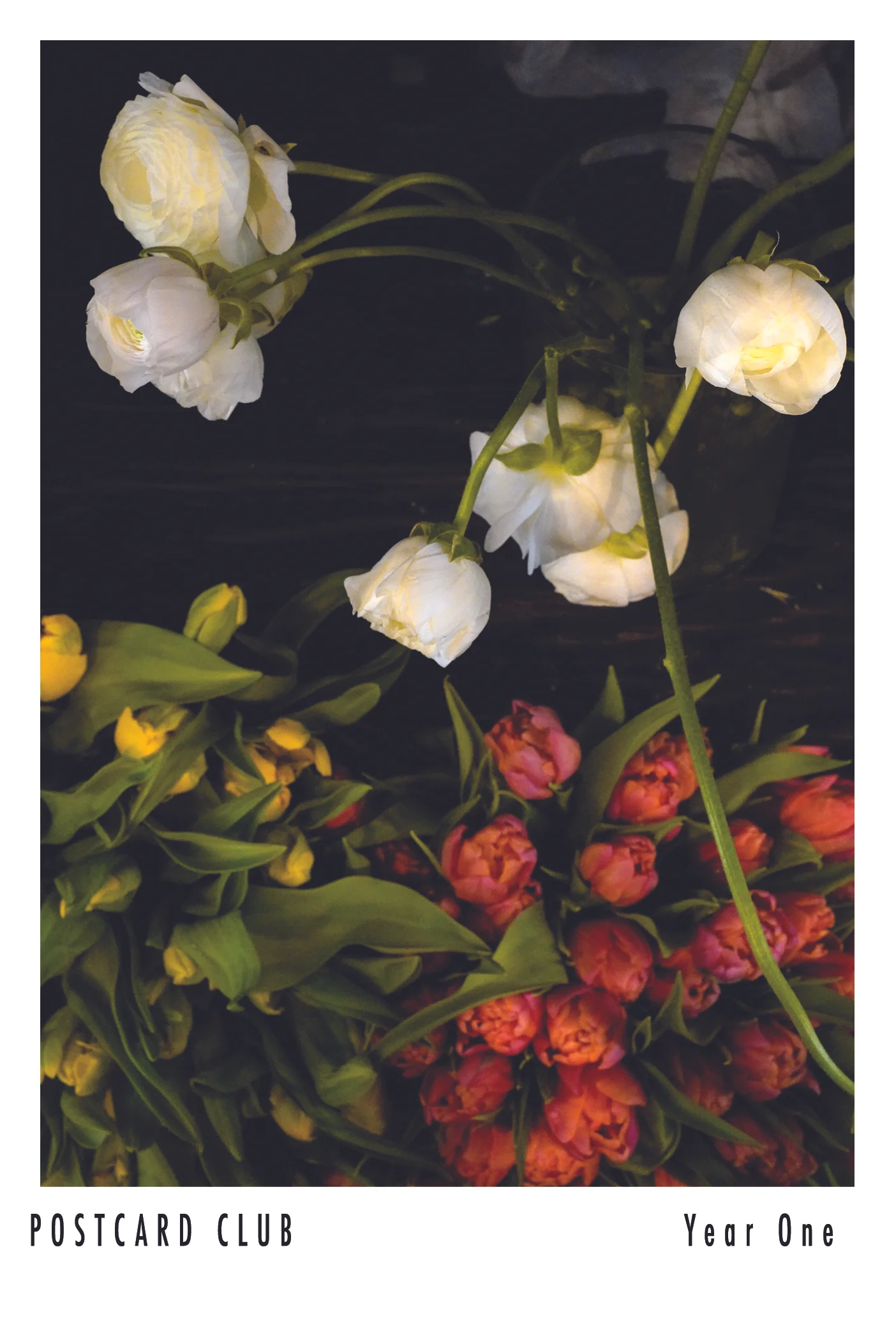 14_April_Plaza Florist.jpg