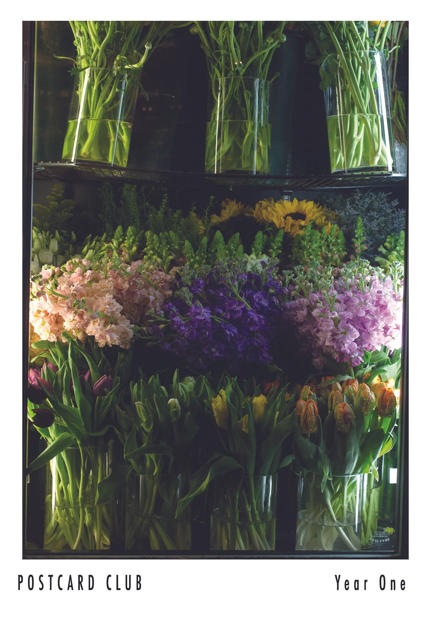 18_April_EV Florists.jpg