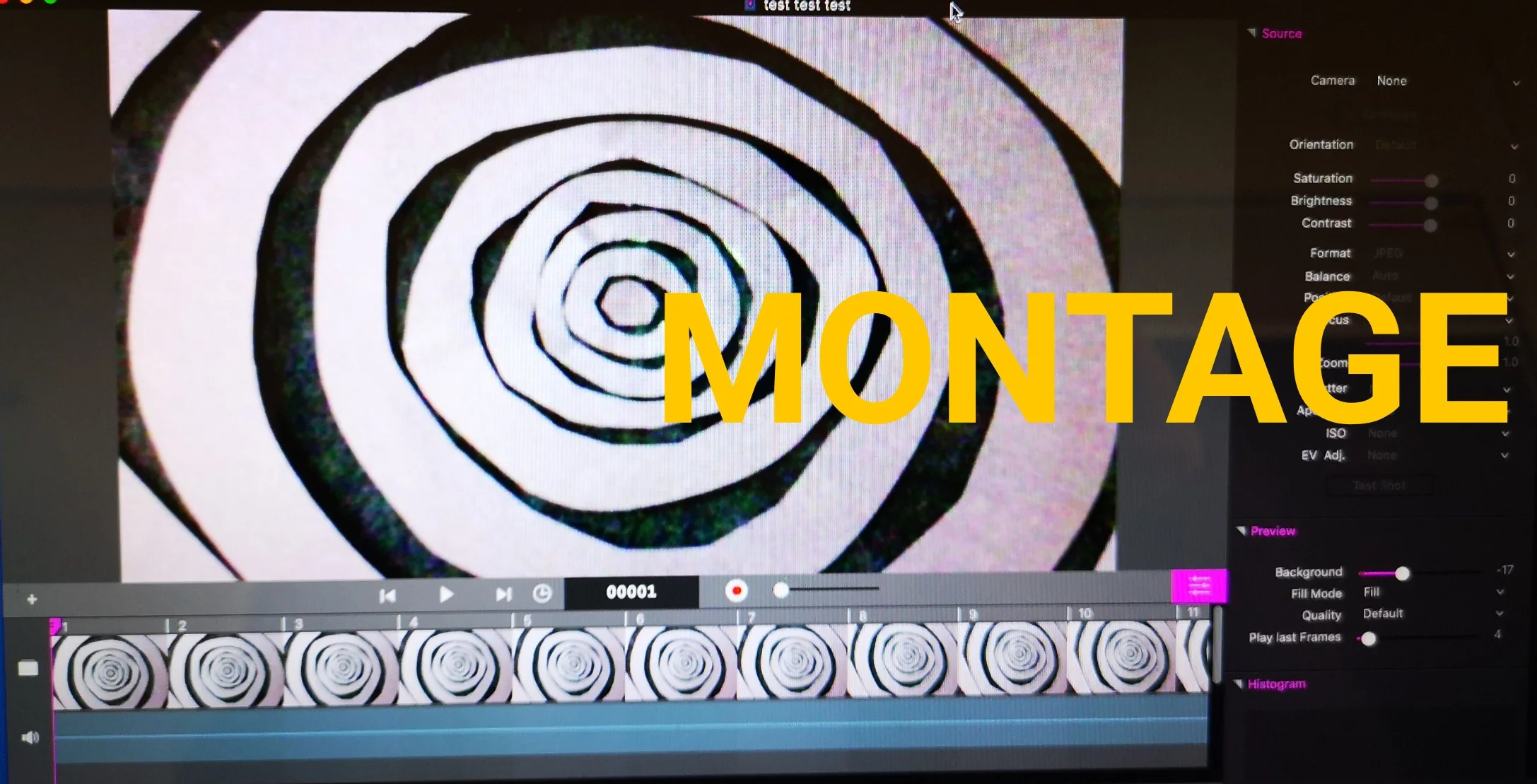 MOntage Title.jpg