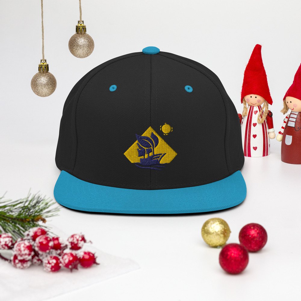 classic-snapback-black-teal-front-61b1f3cf8b9d0.jpg