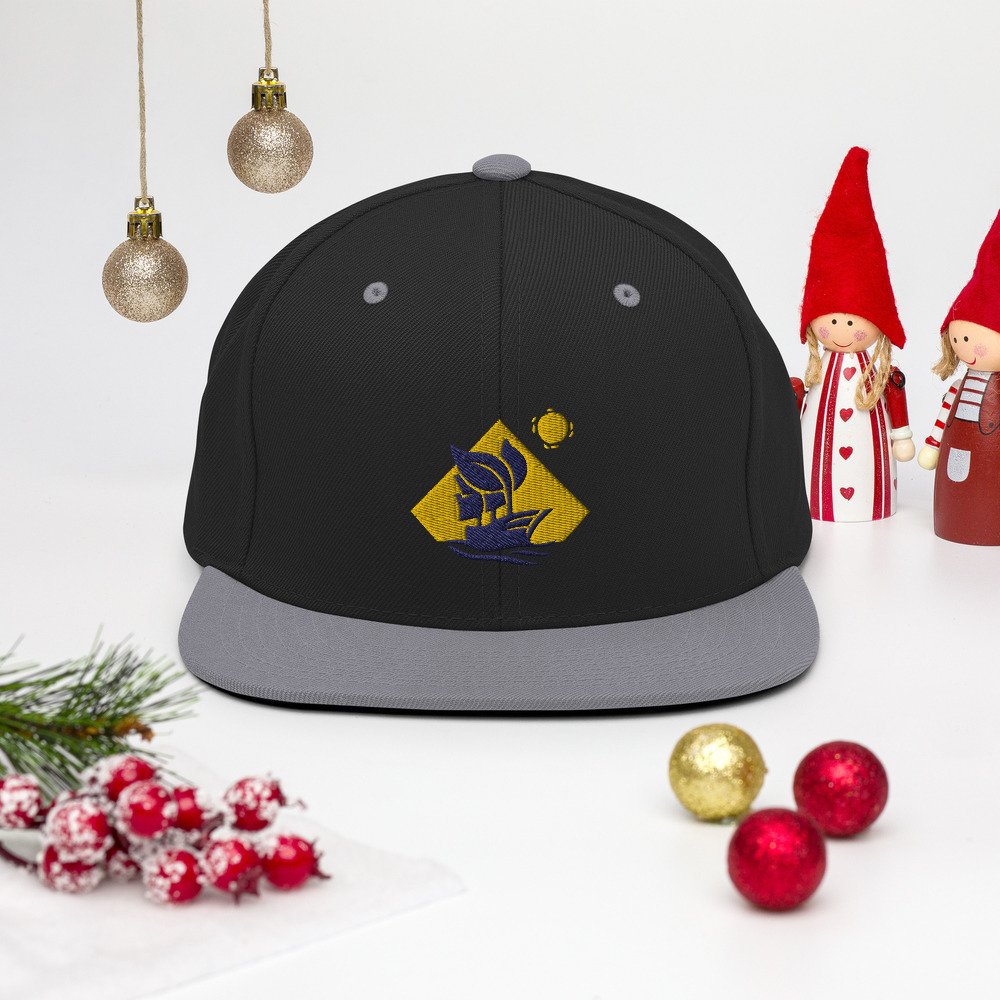 classic-snapback-black-silver-front-61b1f3cf8bc73.jpg
