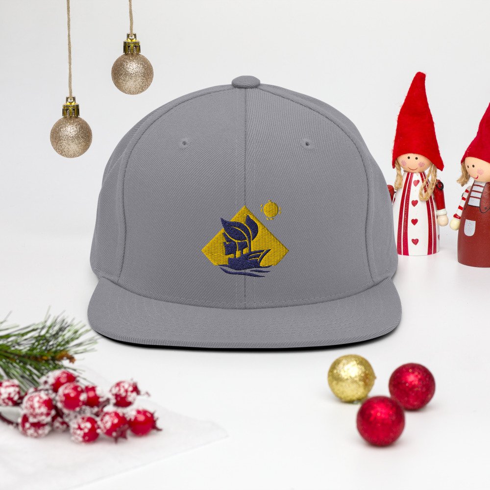 classic-snapback-silver-front-61b1f3cf8df44.jpg