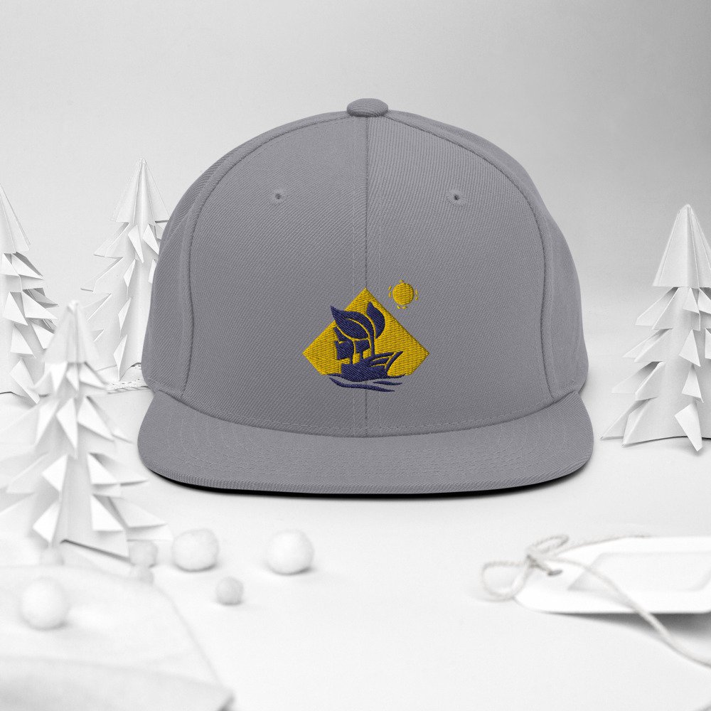 classic-snapback-silver-front-2-61b1f3cf8e18a.jpg