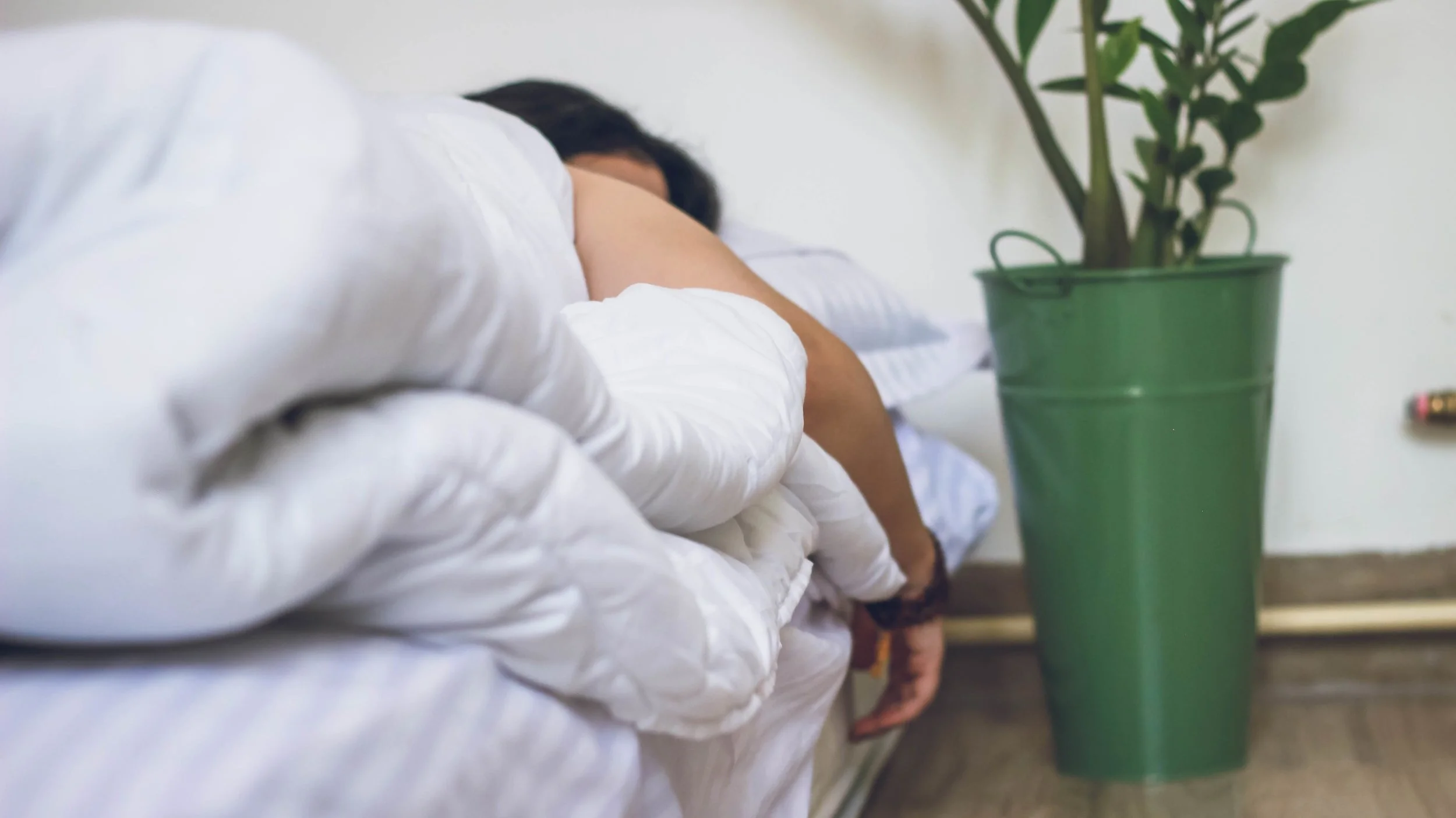 Five Tips for a Great Night's Sleep