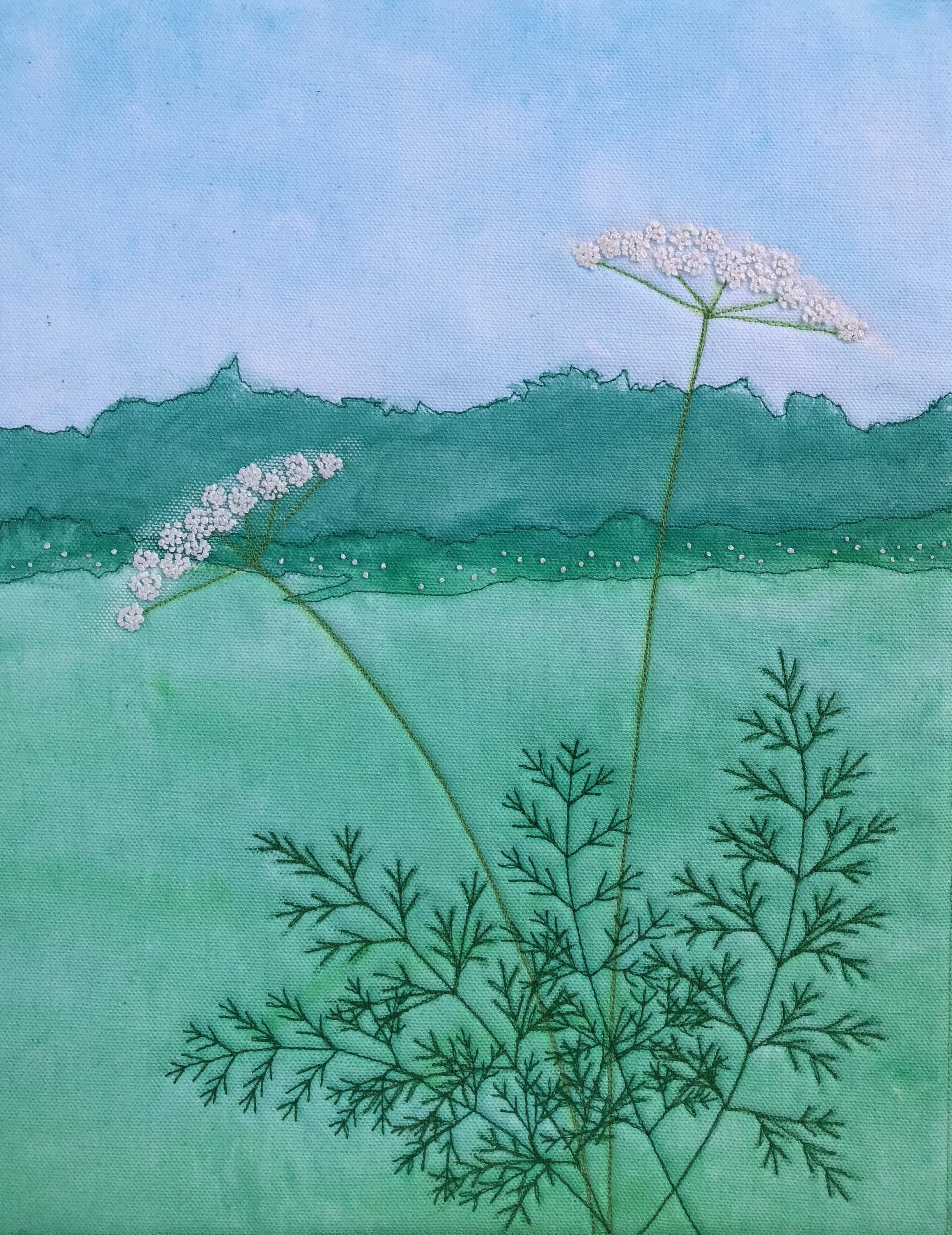 Queen Anne's Lace  11"x14"
