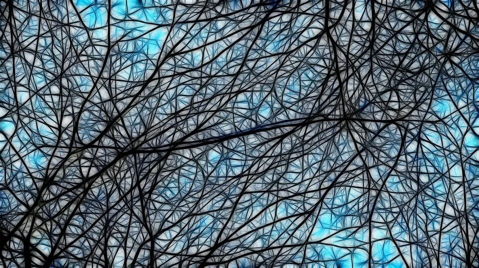 neurons-3154919_960_720.jpg