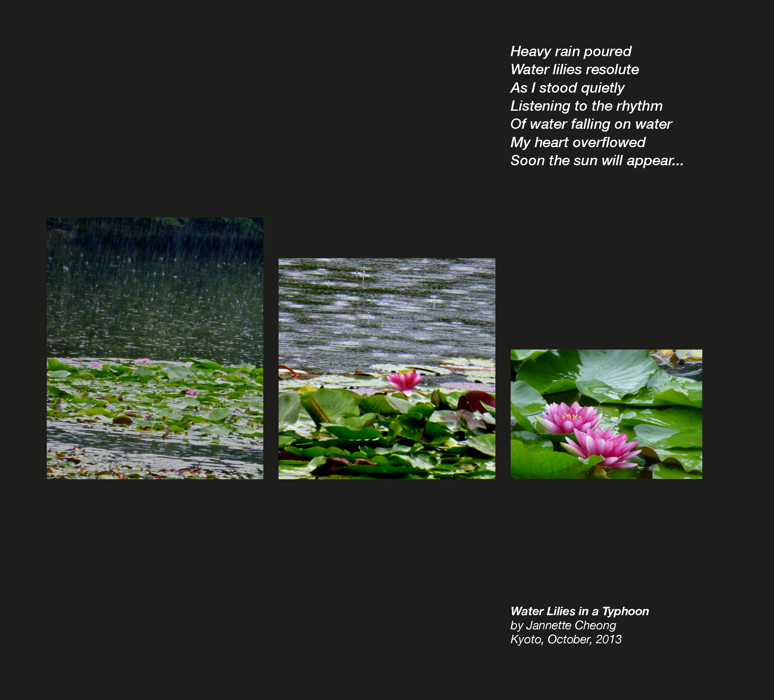 Water lilies in a Typhoon4.png