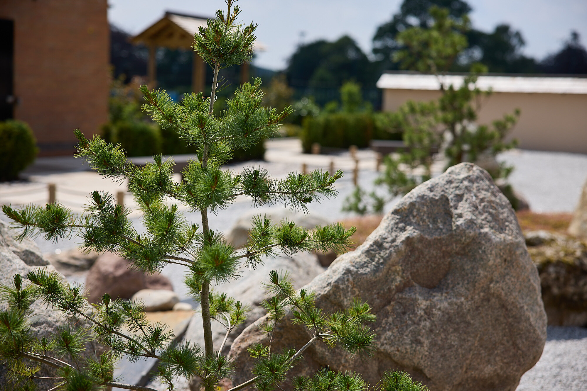 Coventry Young Ambassadors Islands of Peace Japanese Garden, located at the Coventry War Memorial Park