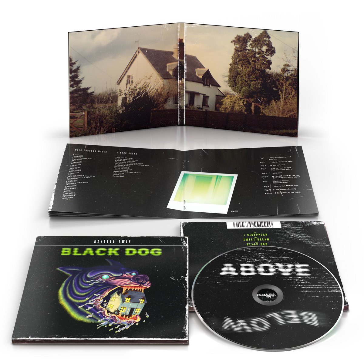 CD Black Dog- Packshot.jpeg