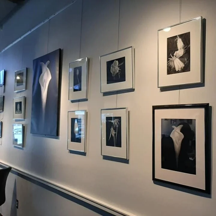 Gallery of the Arts: Spring Photography Show