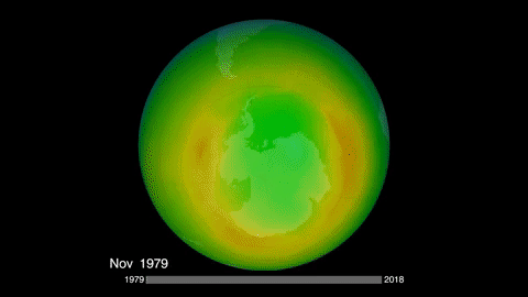 This shows the annual progression of ozone over the Southern Hemisphere from 1979 to 2018 recorded every November. The deeper blues and purples indicate where there is the least amount of ozone, while yellows and reds show where levels are the highest. Video by NASA Ozone Watch